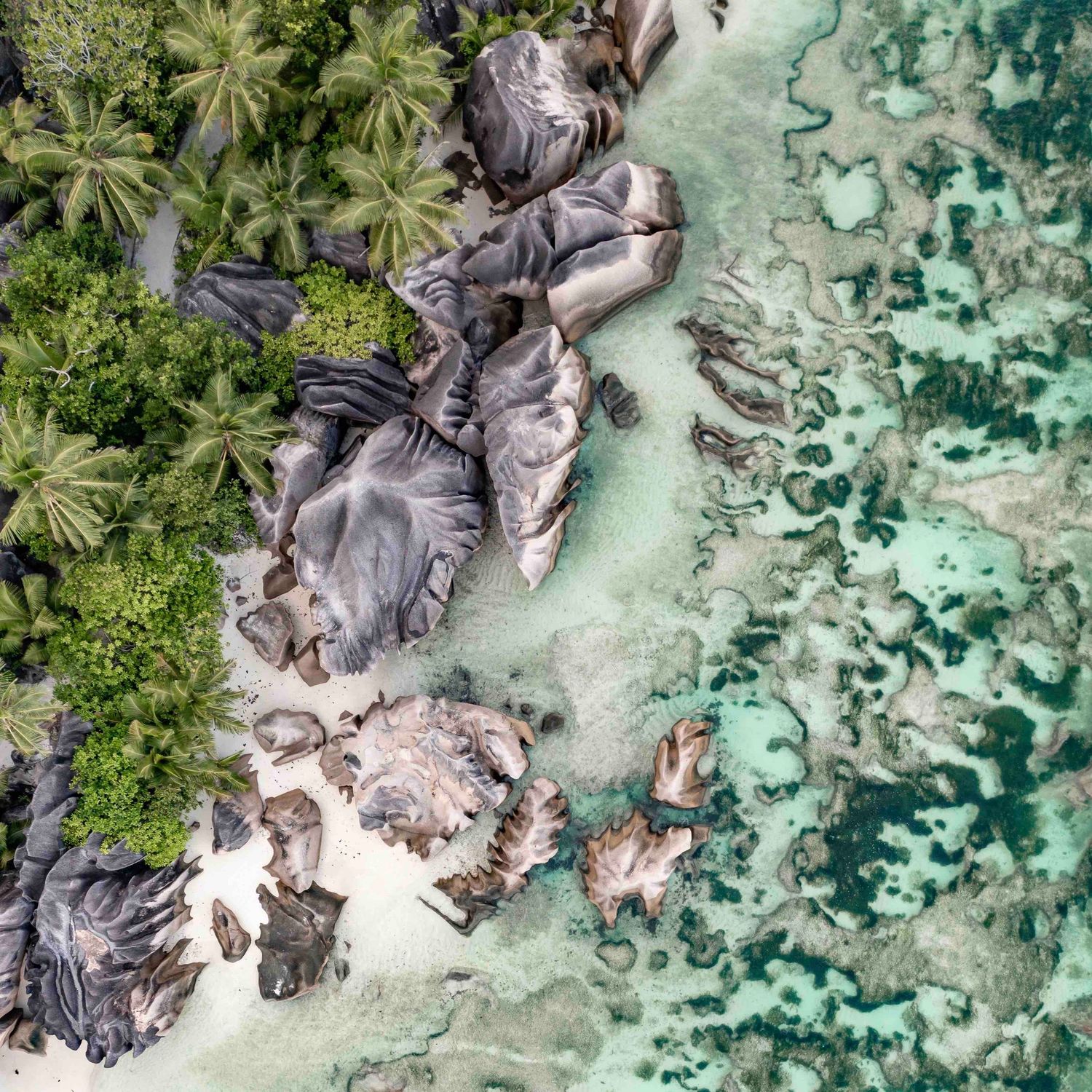 Aerial view of granite boulders, palm trees, and turquoise waters in the Seychelles.