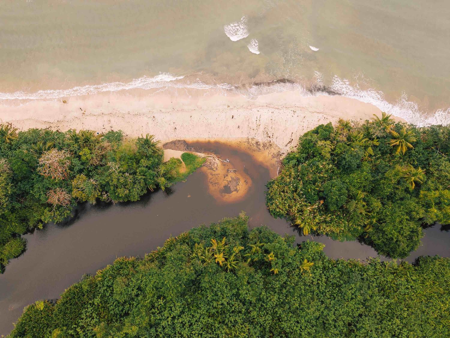 Aerial view of a tropical beach where a winding river meets the ocean, surrounded by lush green jungle foliage.