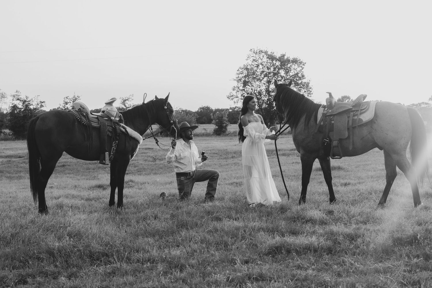 Black and white photo of couple with horses in field during outdoor proposal.