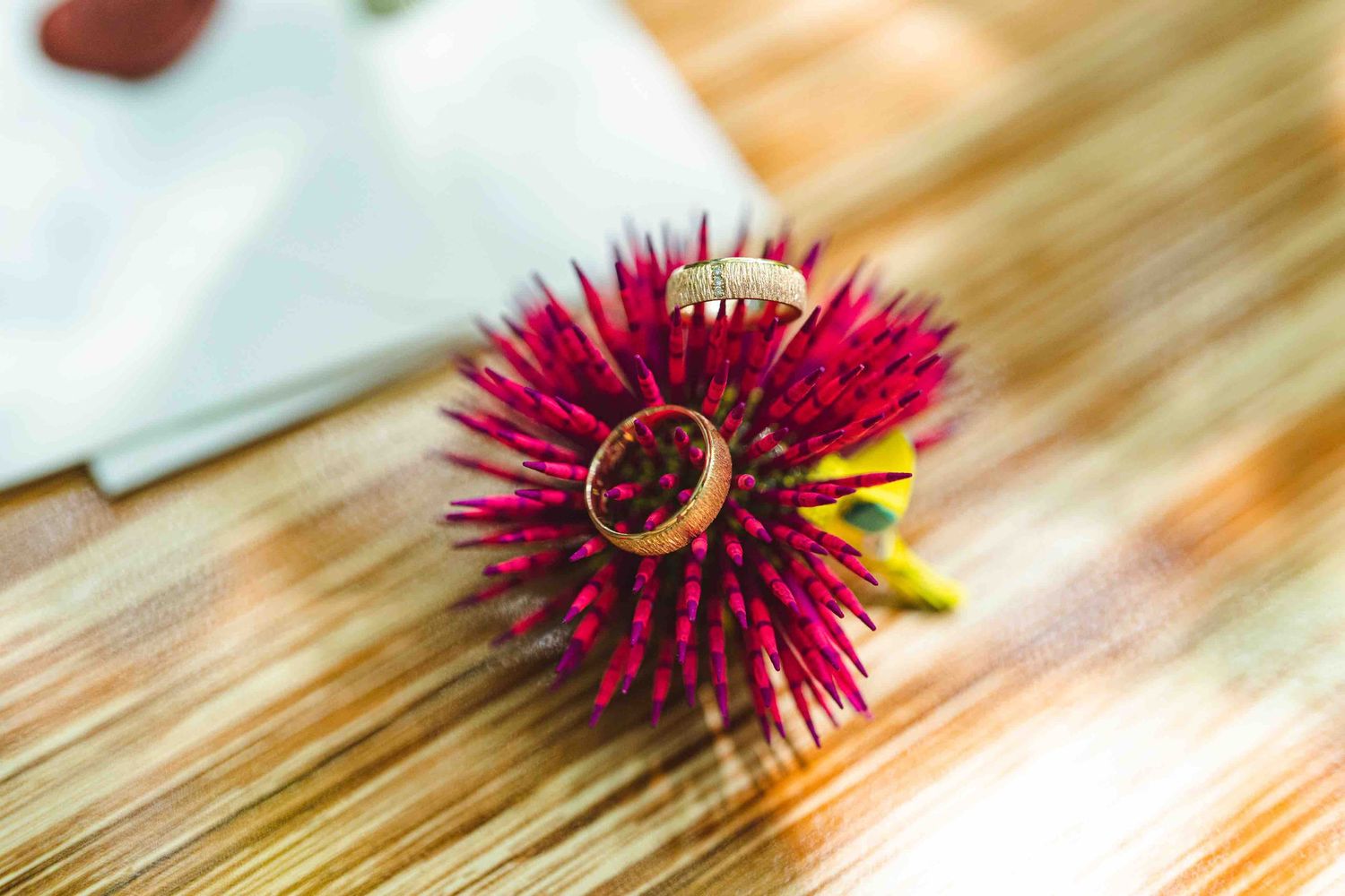Two gold wedding rings displayed on a vibrant red spiky flower on a wooden surface.