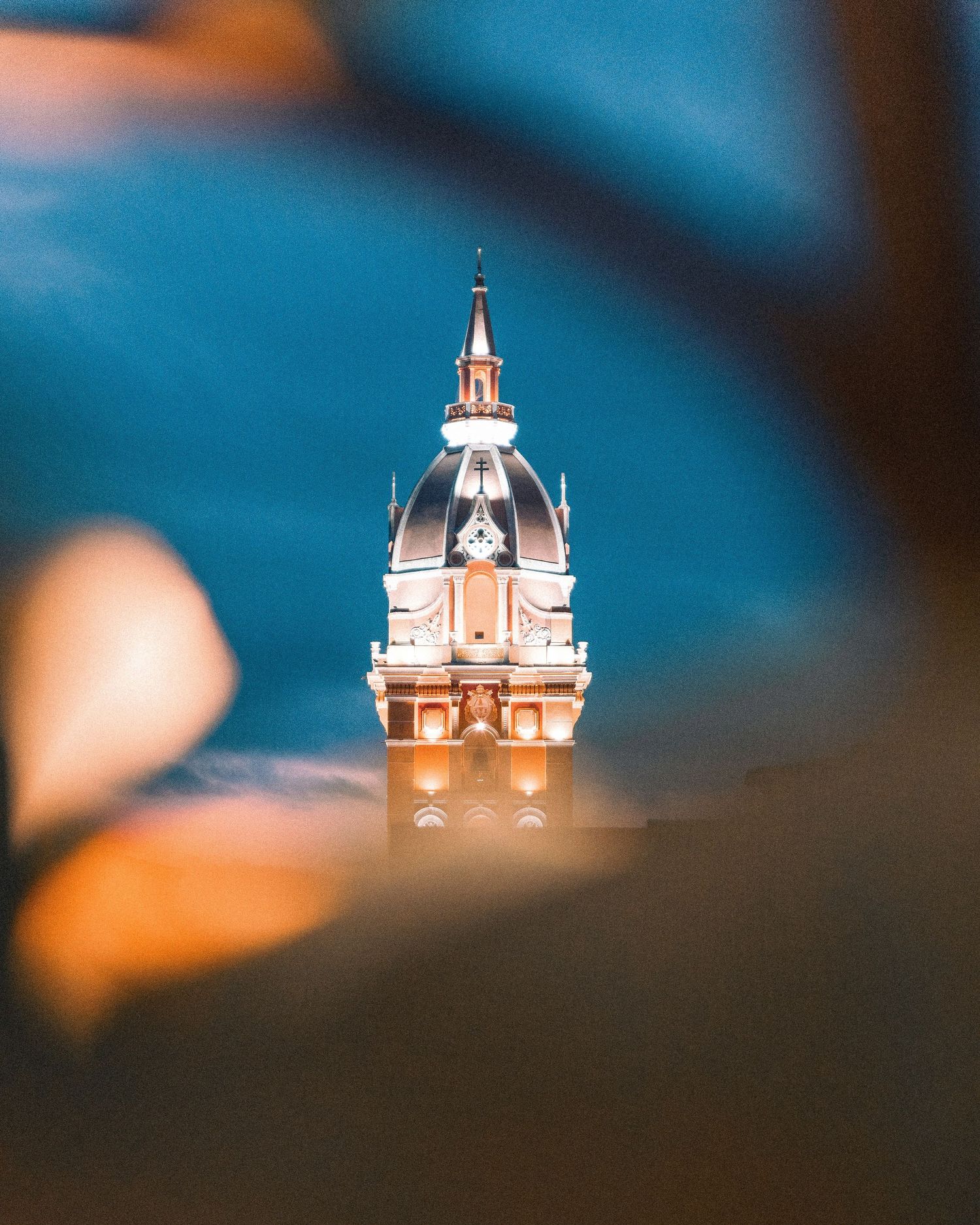 Illuminated ornate cathedral dome and spire framed by blurred bokeh leaves at dusk.