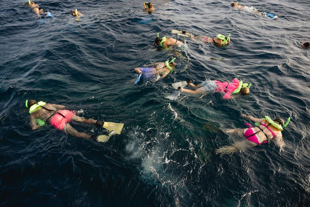 A group of snorkelers wearing pink life vests and yellow fins swim in dark ocean waters.
