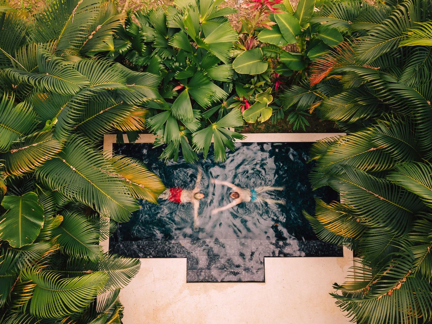 Aerial view of a person floating in a small tropical pool surrounded by lush green palm trees and red flowers.