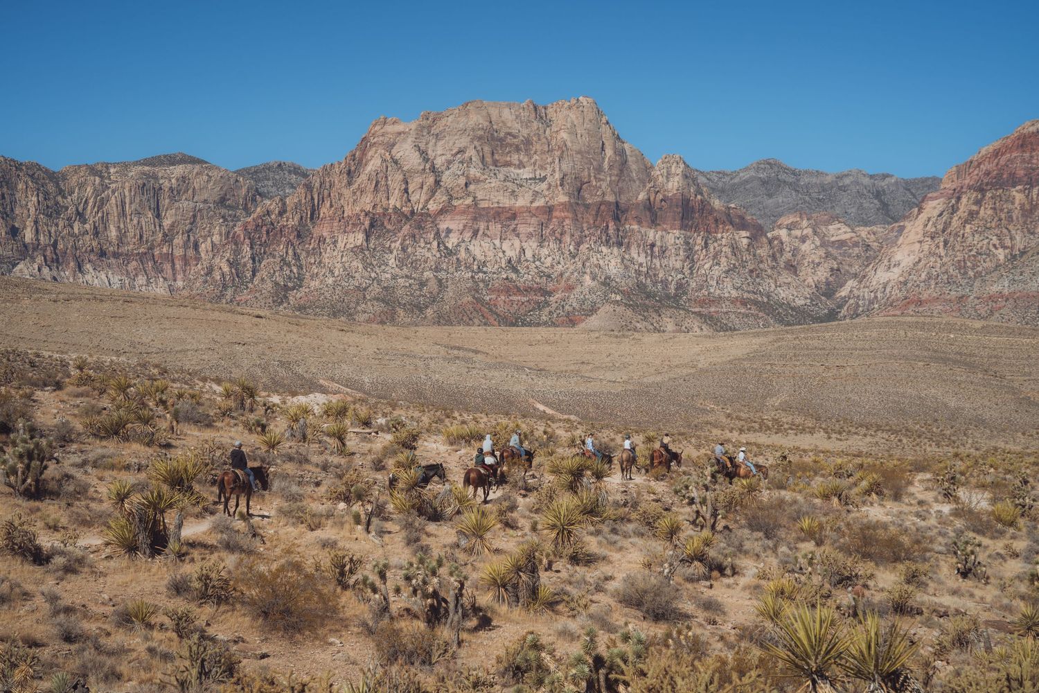 Horseback riders explore Red Rock Canyon desert landscape with dramatic red and gray striped cliffs under clear blue sky.