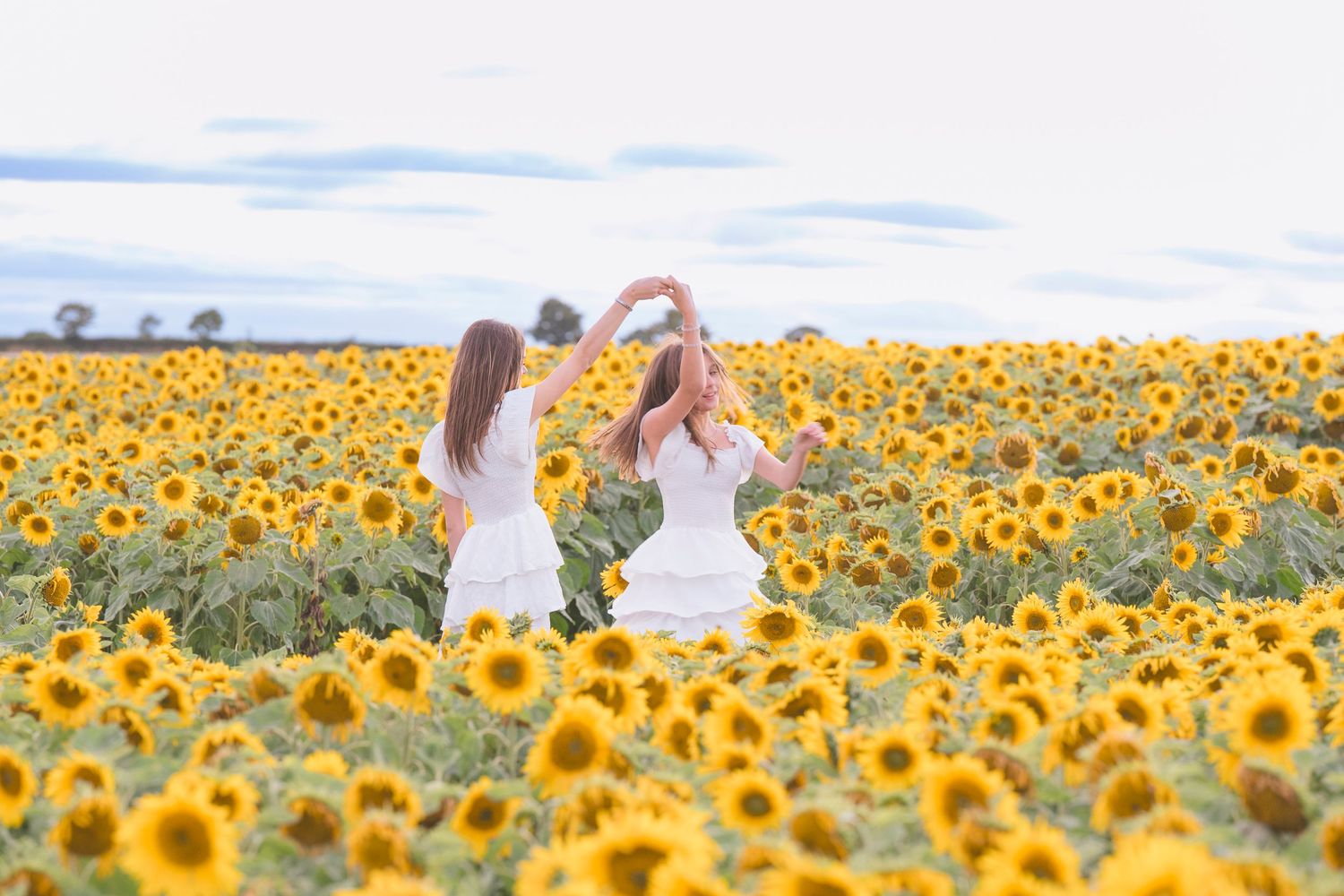 Two women in white dresses form a heart shape with their hands in a vibrant sunflower field under a cloudy sky.
