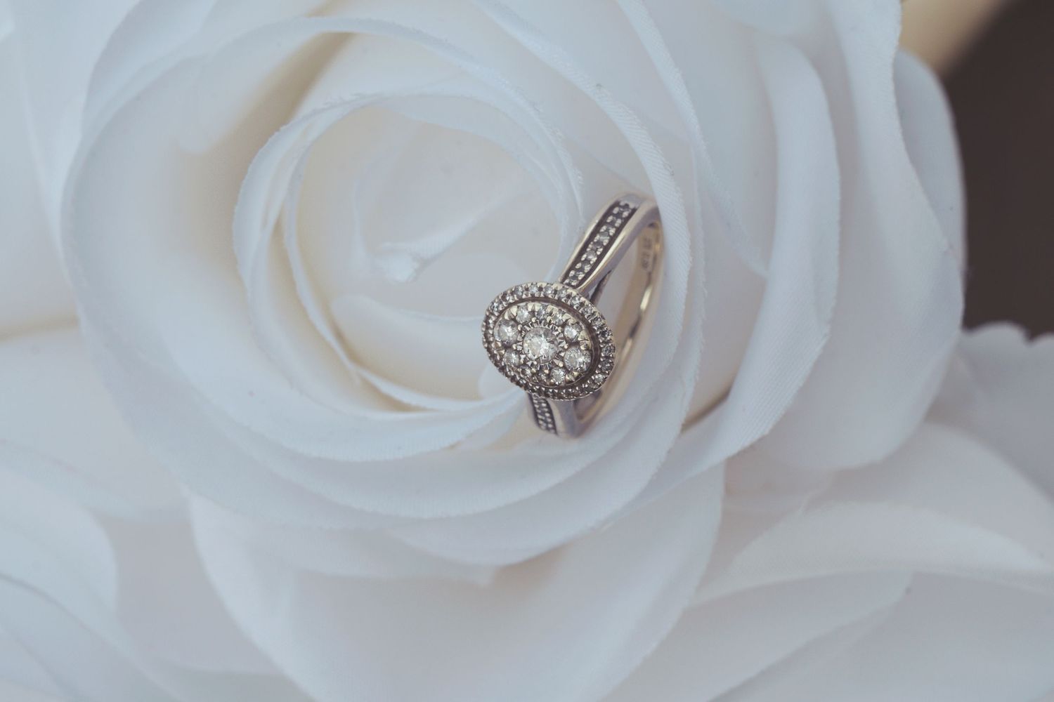 Diamond halo engagement ring with wedding band resting elegantly inside a white rose bloom.