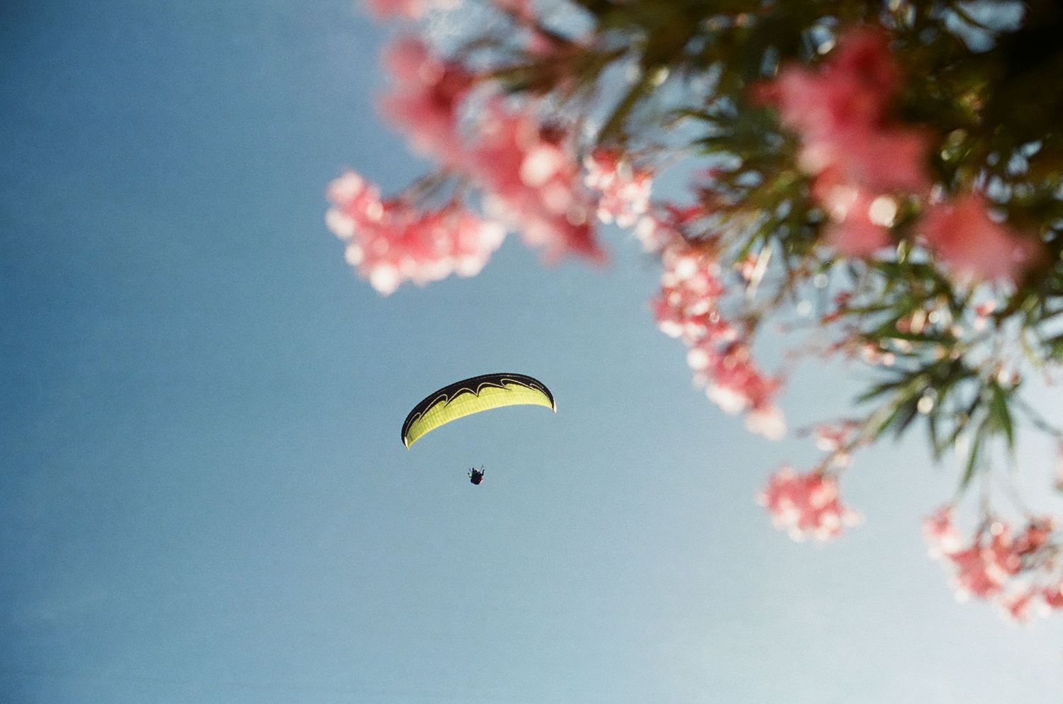 Cinematic travel film photograph in Sardinia.