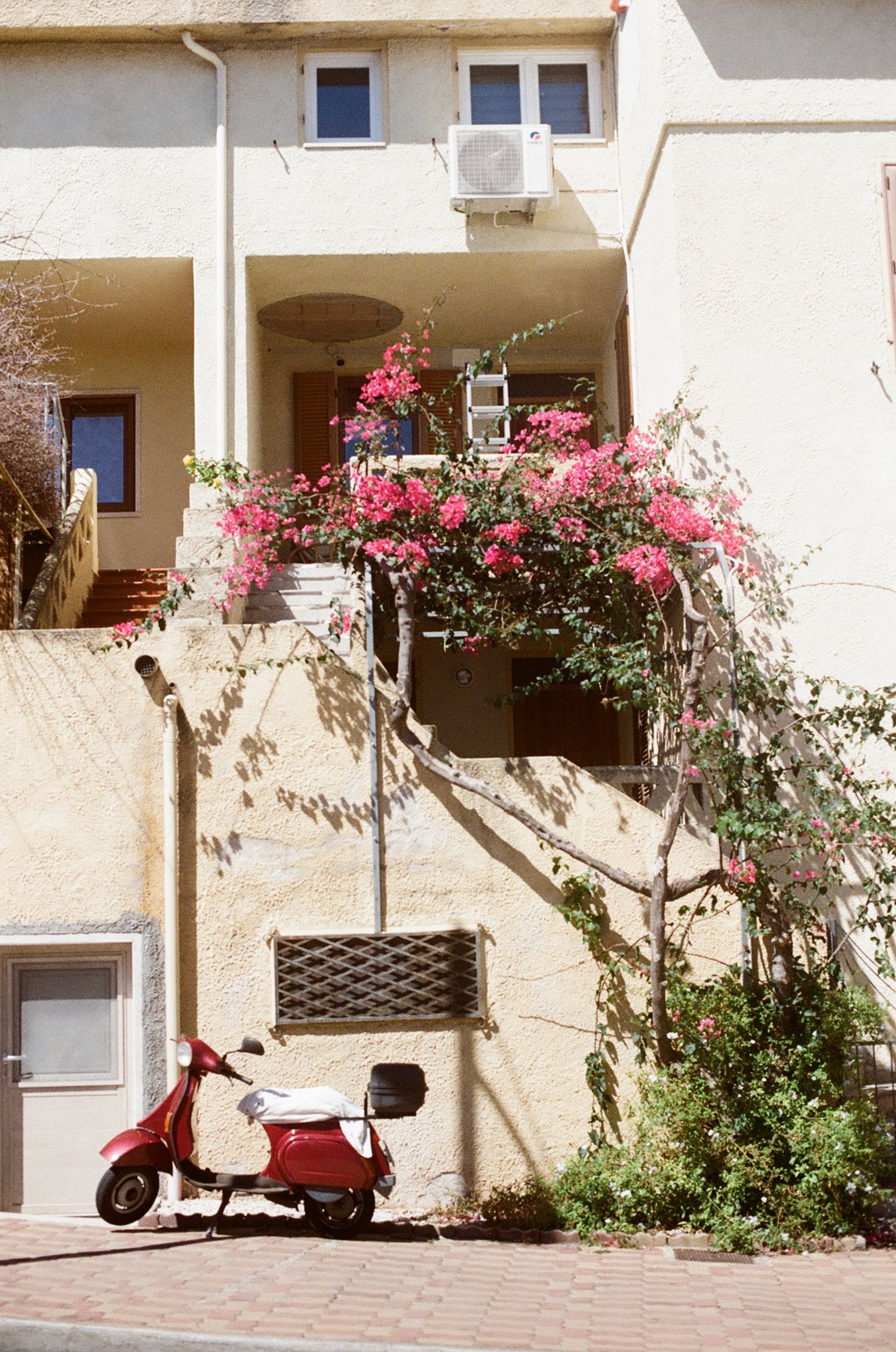 Travel film photography in Sardinia, Italy - red motorbike and pink flowers captured.