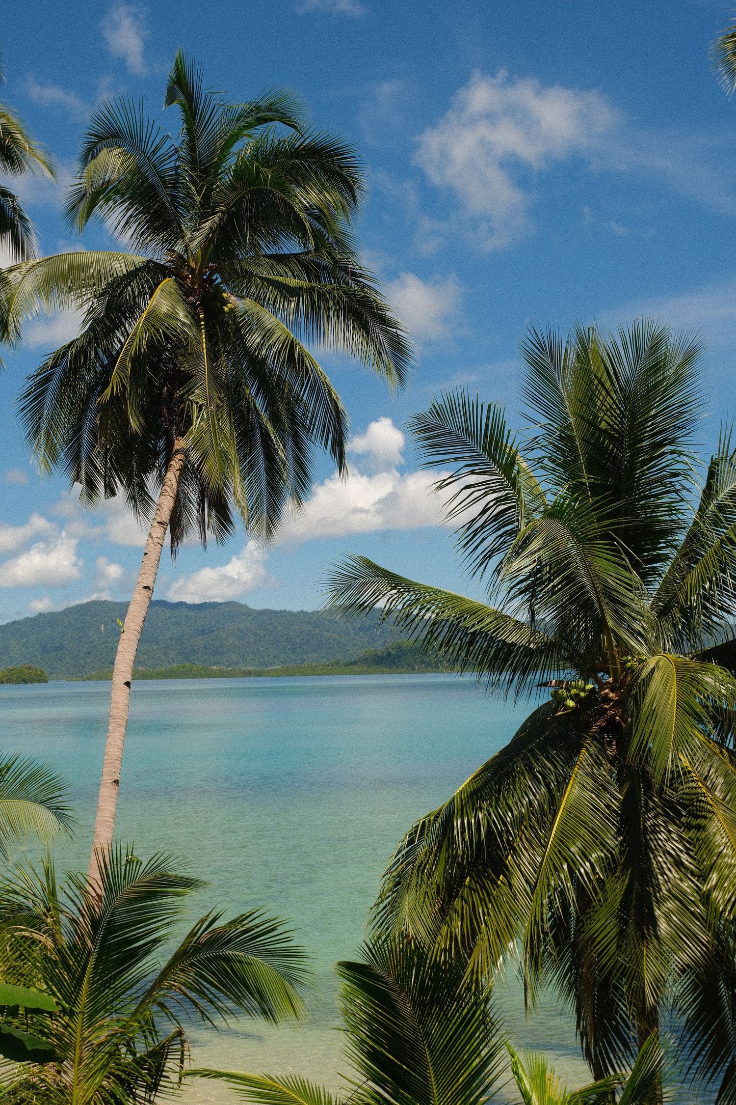 Travel photography capturing a tropical destination