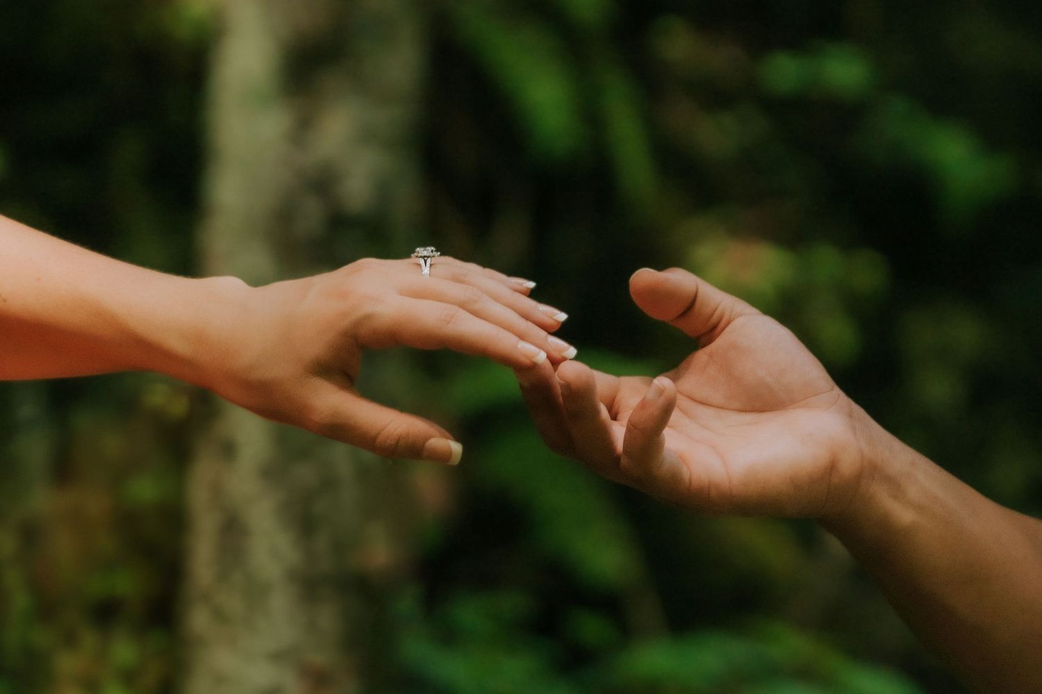 Two hands reaching toward each other, one wearing a diamond engagement ring, with a lush green forest background.