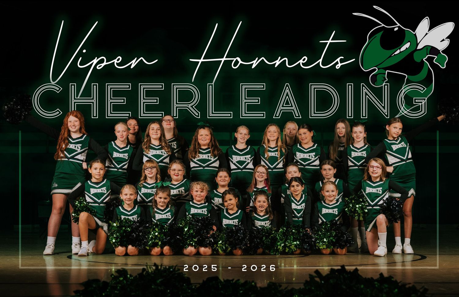 Cheerleading team banner with hornet mascot logo and text in green and white design.