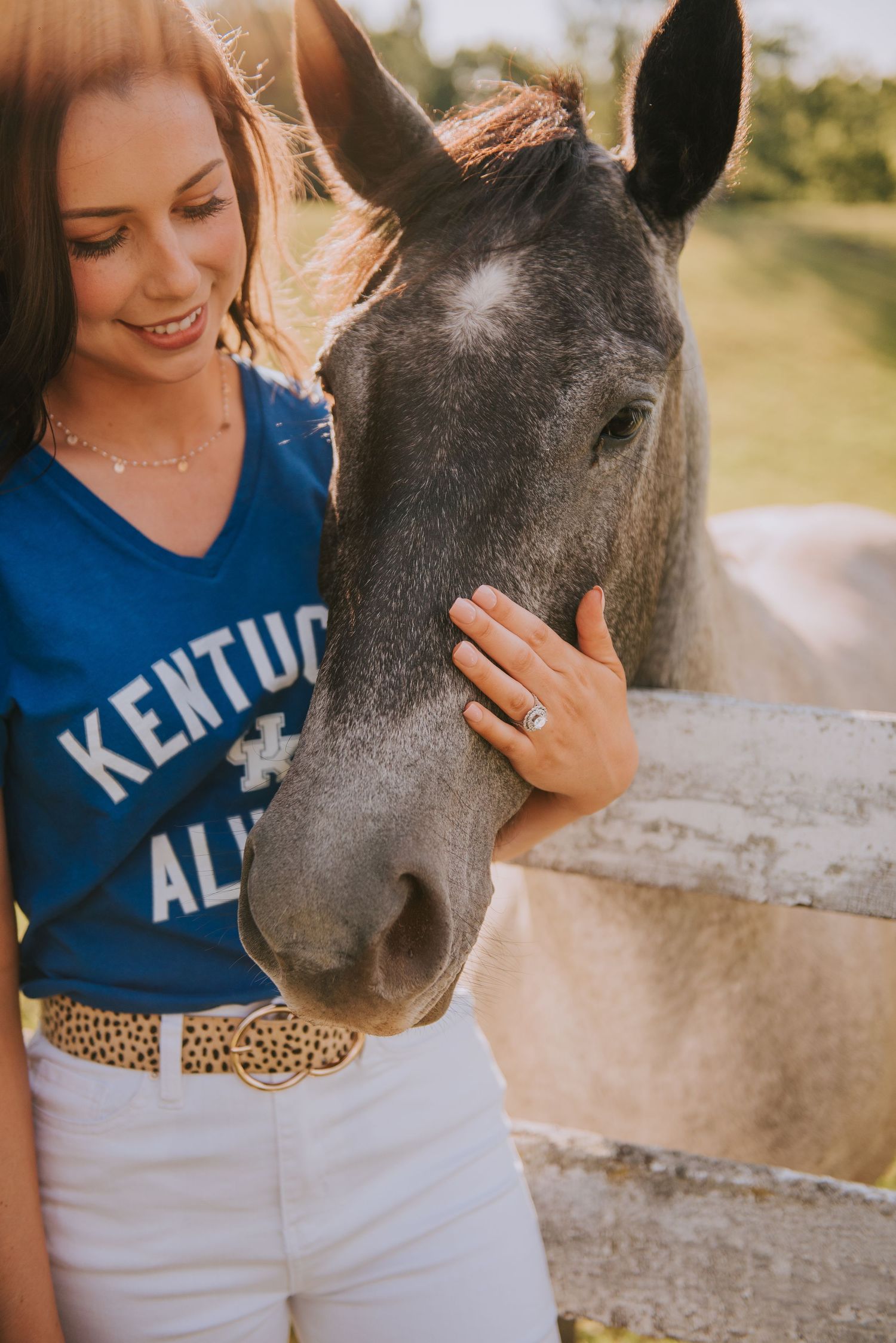 Close-up shots of someone wearing a Kentucky shirt petting a dark horse.