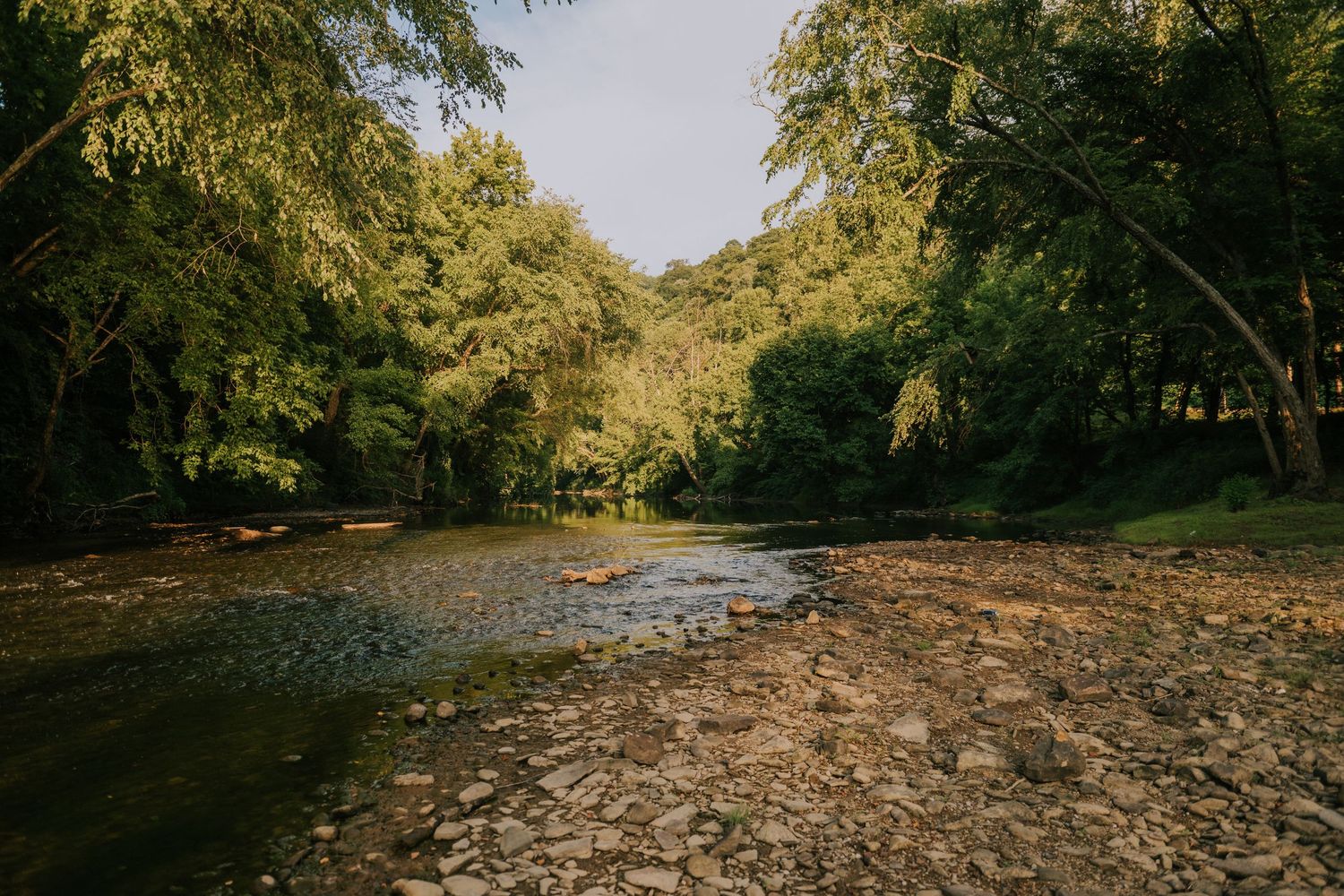 Rocky riverbank winds through lush green forest with calm shallow water reflecting sunlight on a clear day.