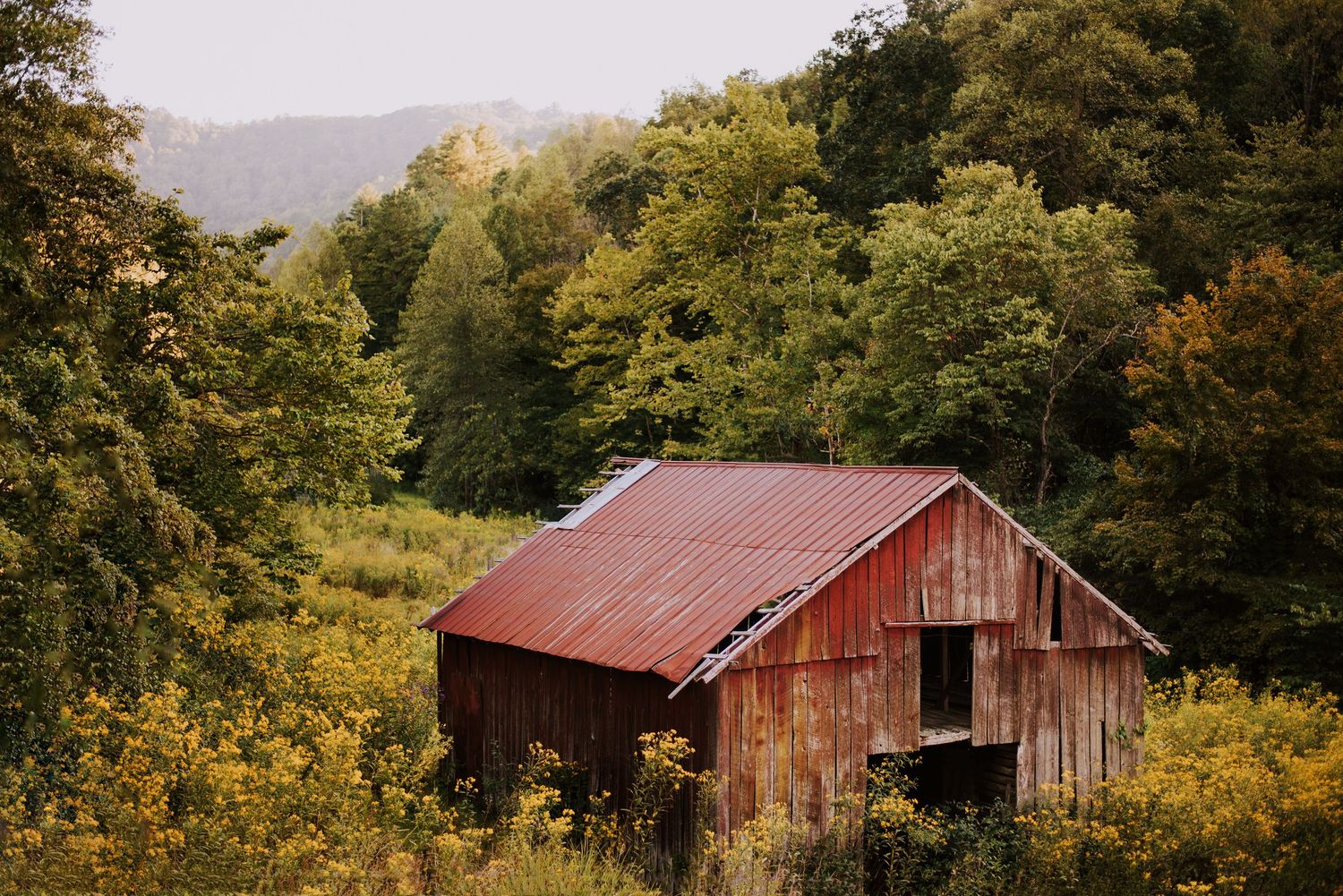Rural landscape with weathered red barns nestled among autumn trees in the mountains.