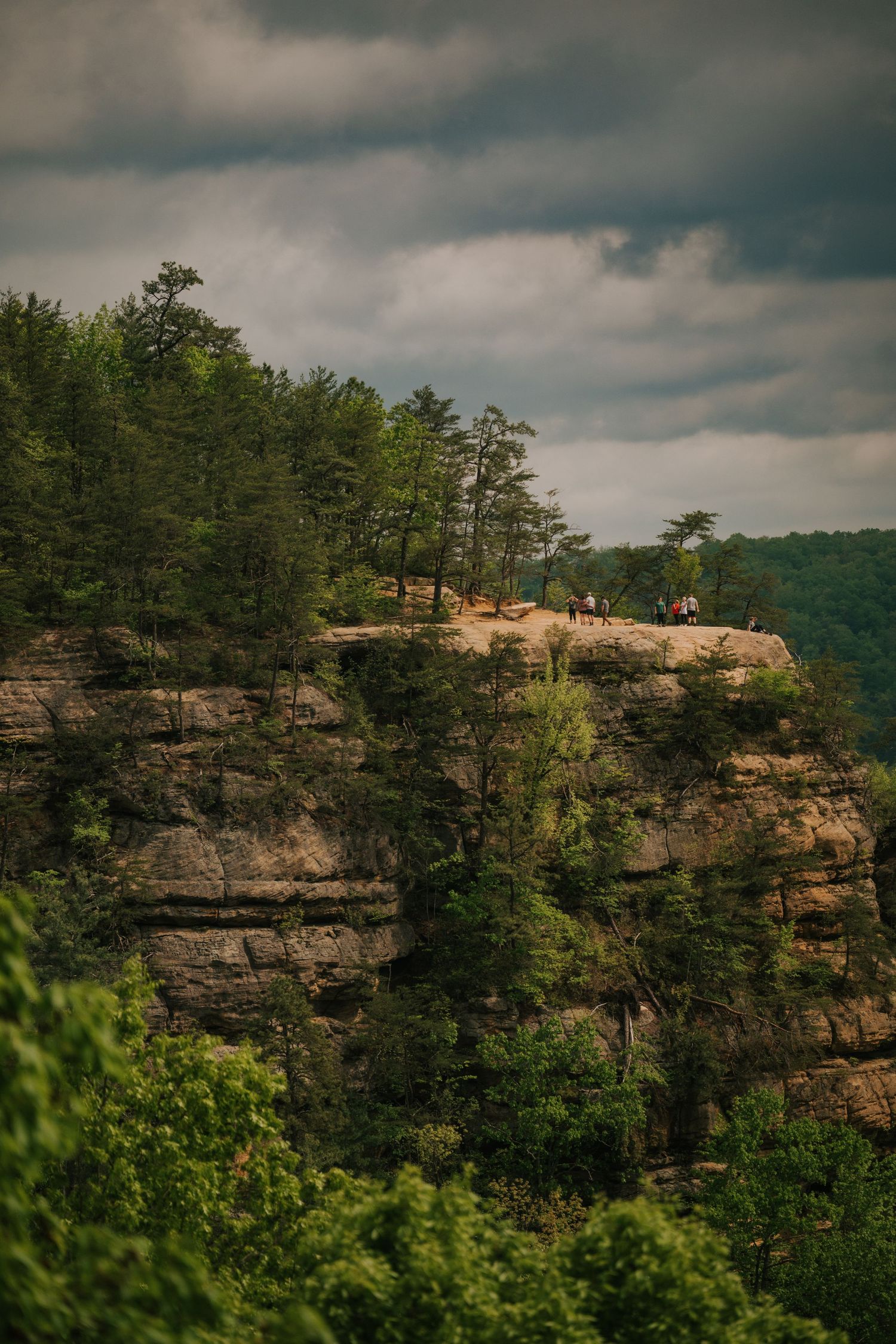 Scenic view of a rocky cliff overlook surrounded by lush green forest under moody skies.