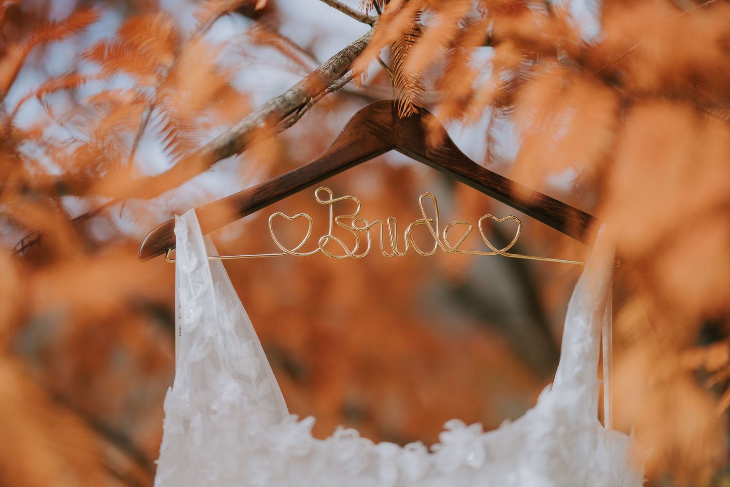 Orange autumn leaves create a soft bokeh background with blurred branches in warm sunlight.