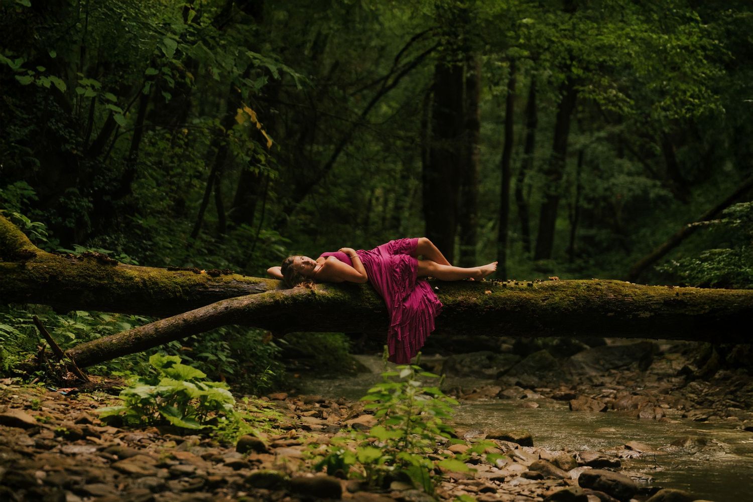 Mossy forest landscape with fallen logs and lush green vegetation.
