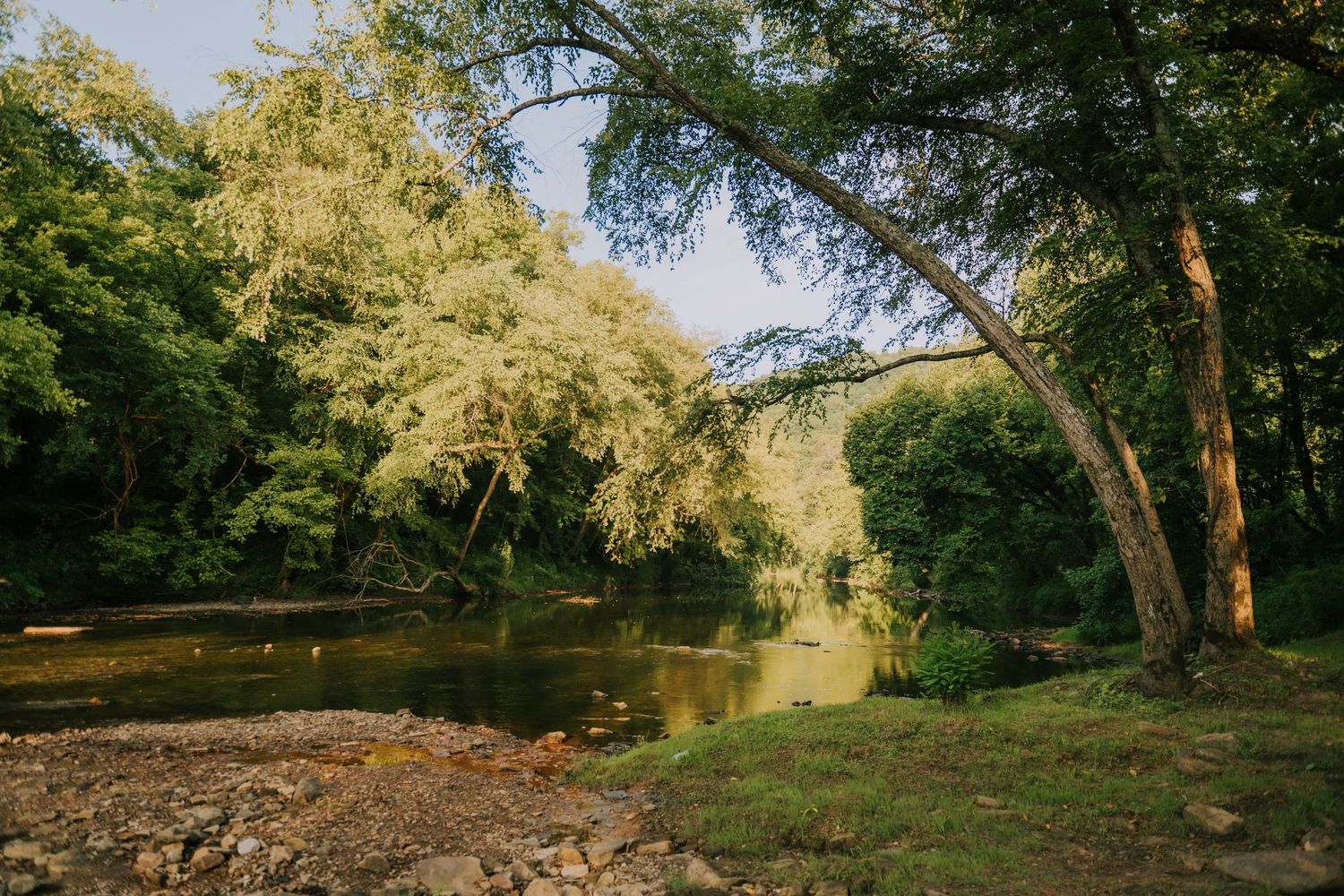Lush green trees arch over a calm river surrounded by rocky banks and dense woodland in a serene natural landscape.