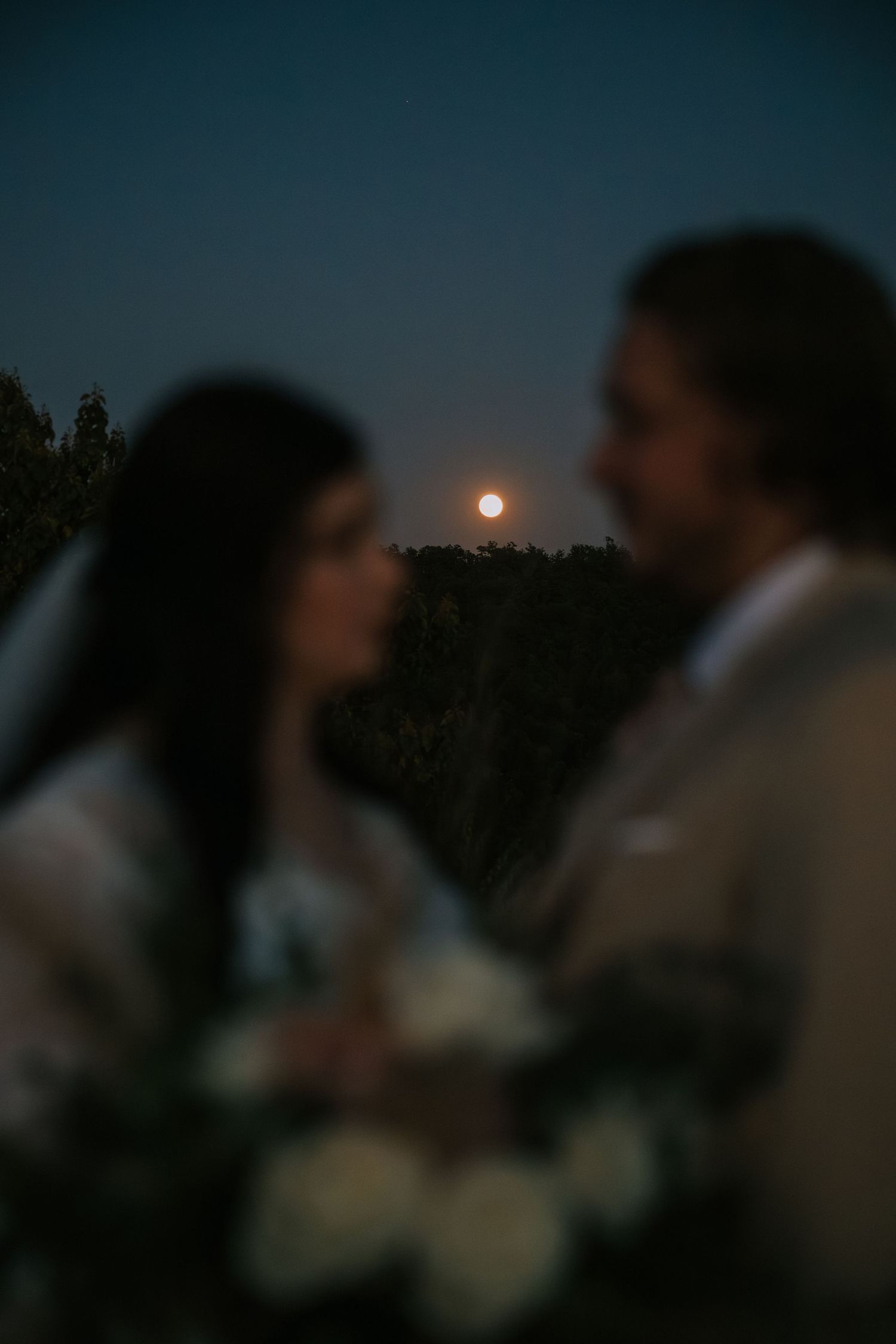 A romantic silhouette of a couple embracing under a glowing moon in a dusky evening sky.