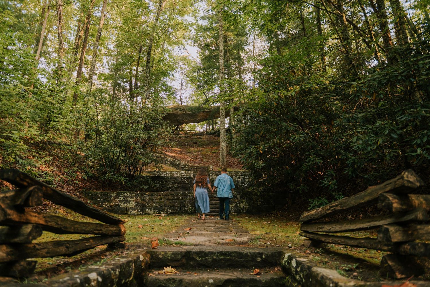 A wooded trail with fallen logs and green foliage creating a natural pathway.