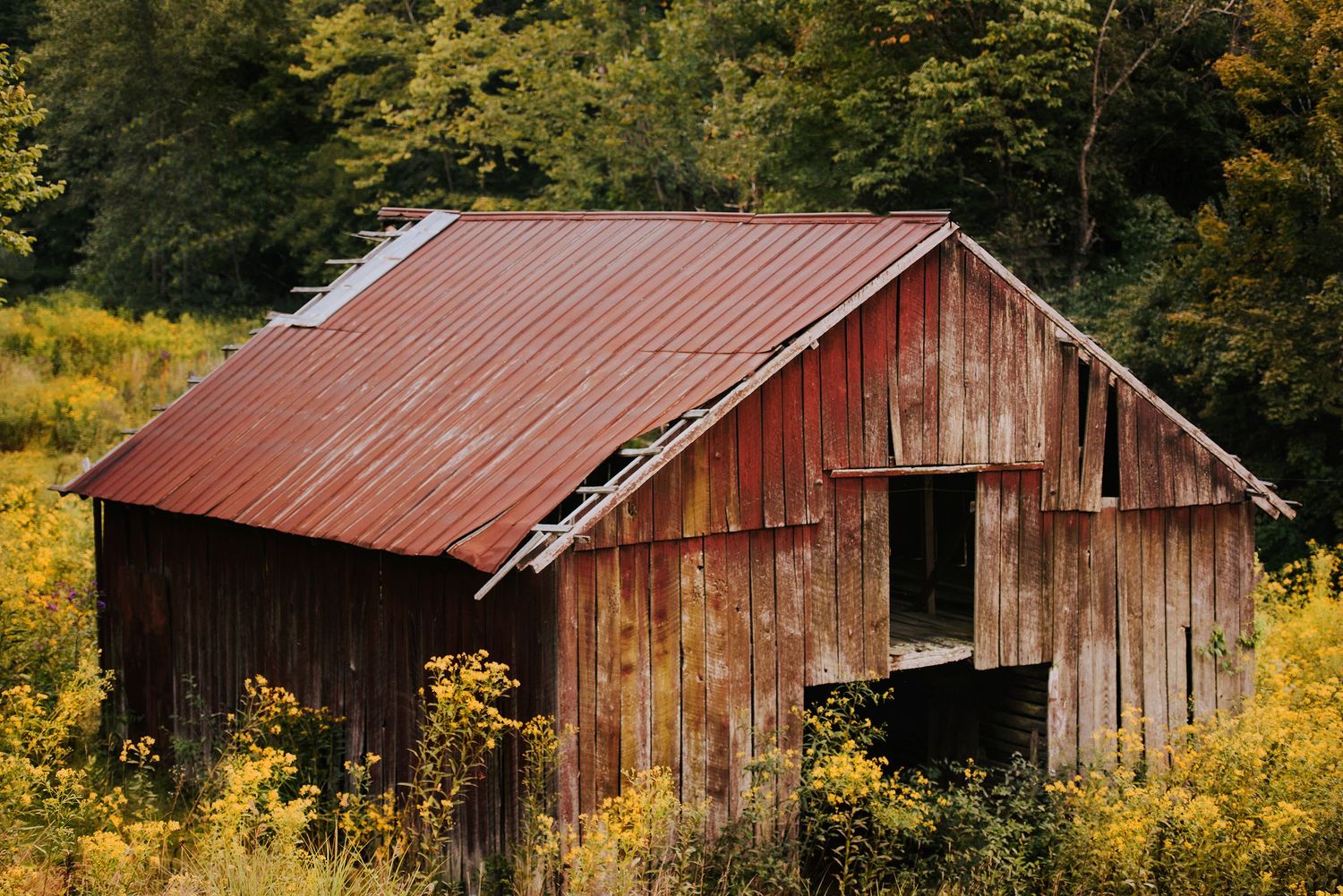 Weathered red barn with rustic wooden siding surrounded by autumn foliage.