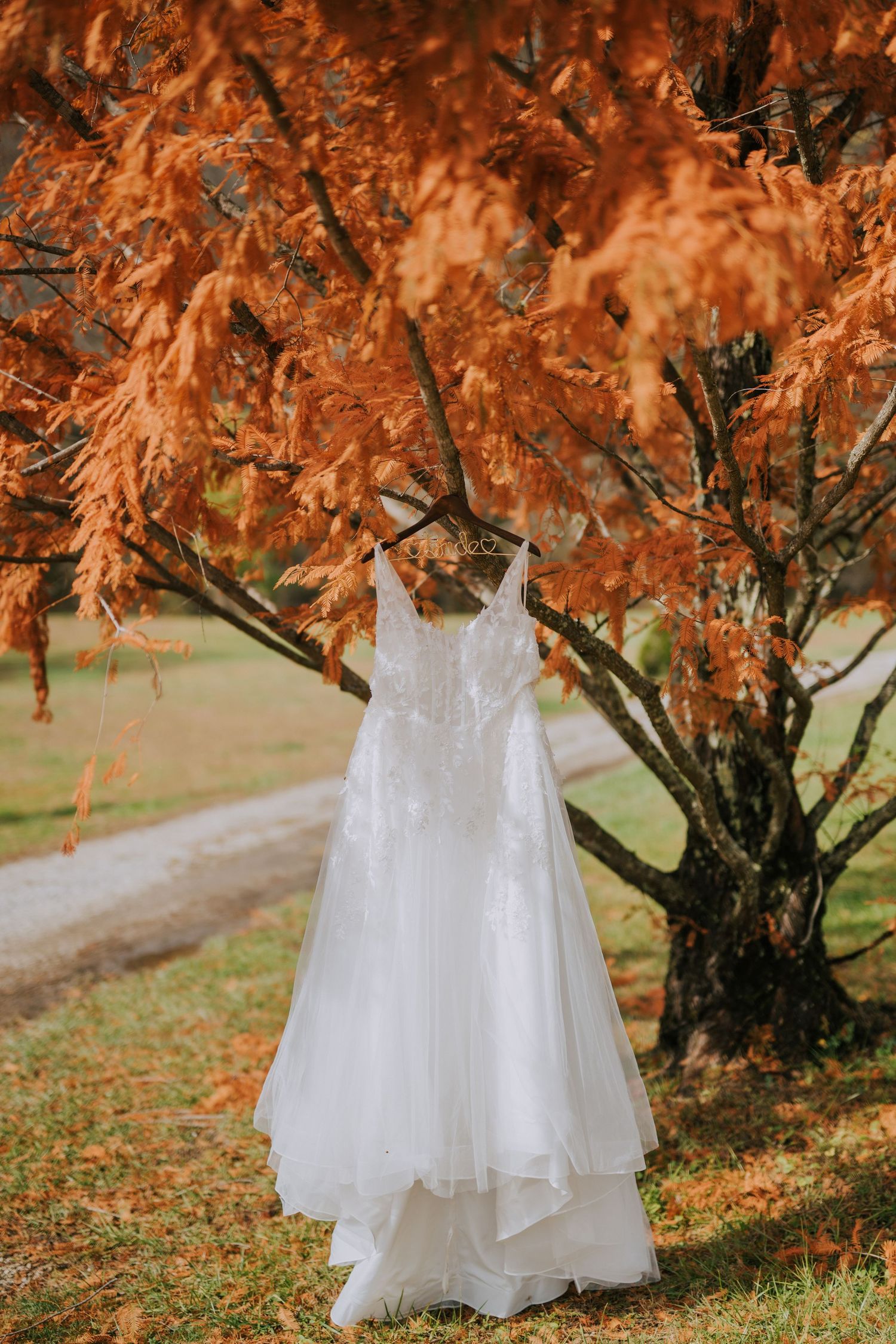 White wedding dress hanging from autumn trees with orange leaves.