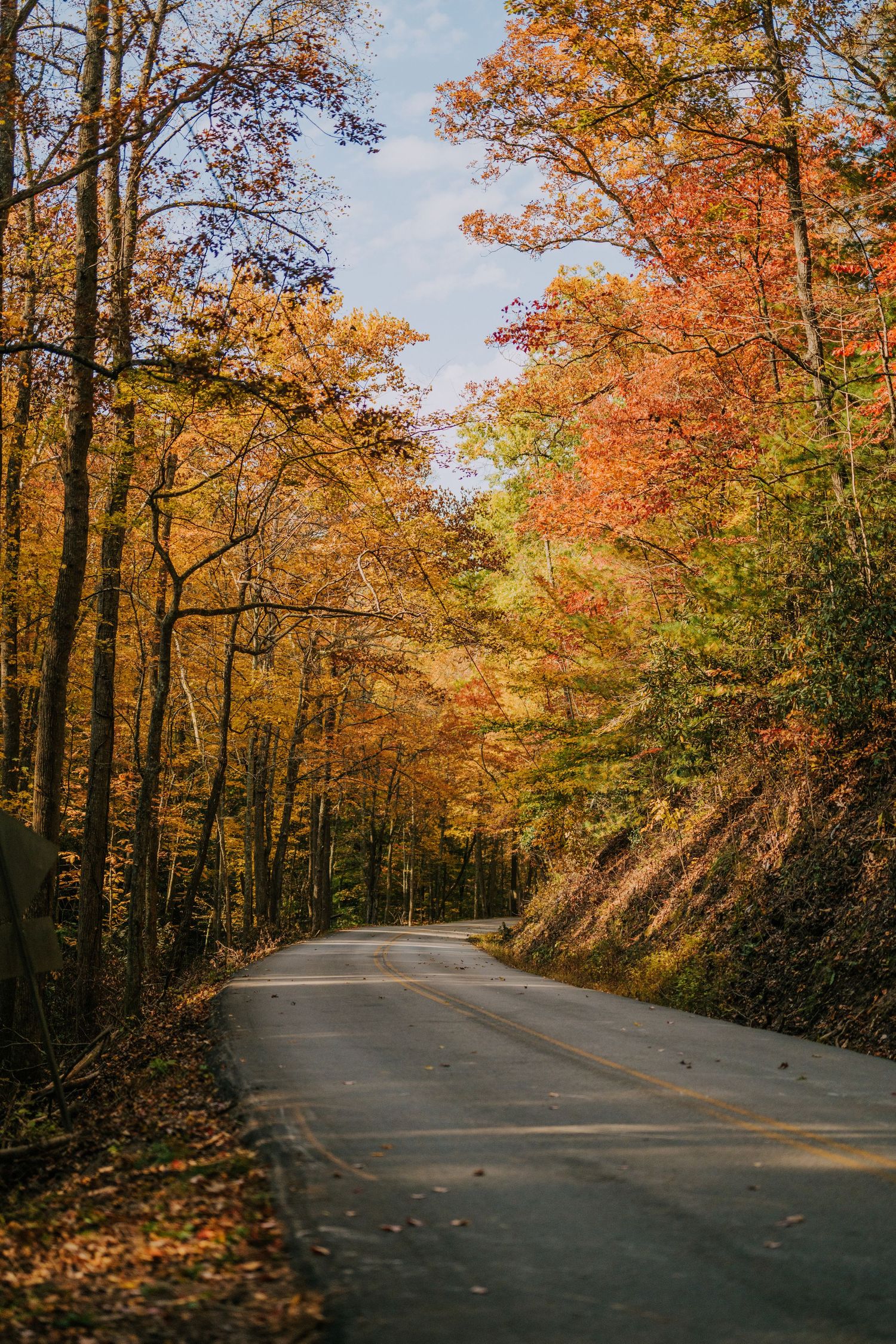 Winding autumn road through forest with vibrant orange and yellow fall foliage.
