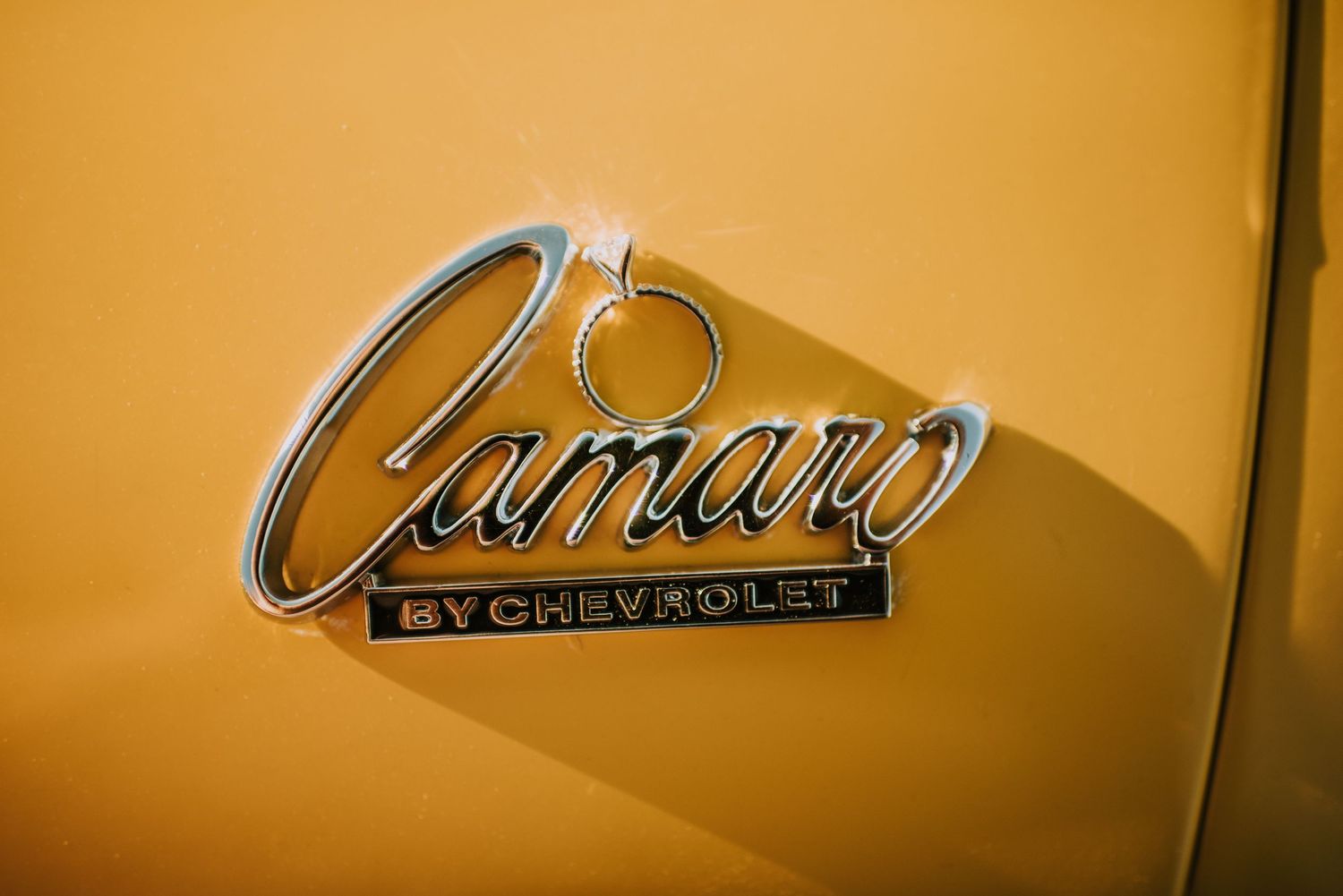 Close-up detail of vintage Chevrolet lettering and emblems in golden tones.