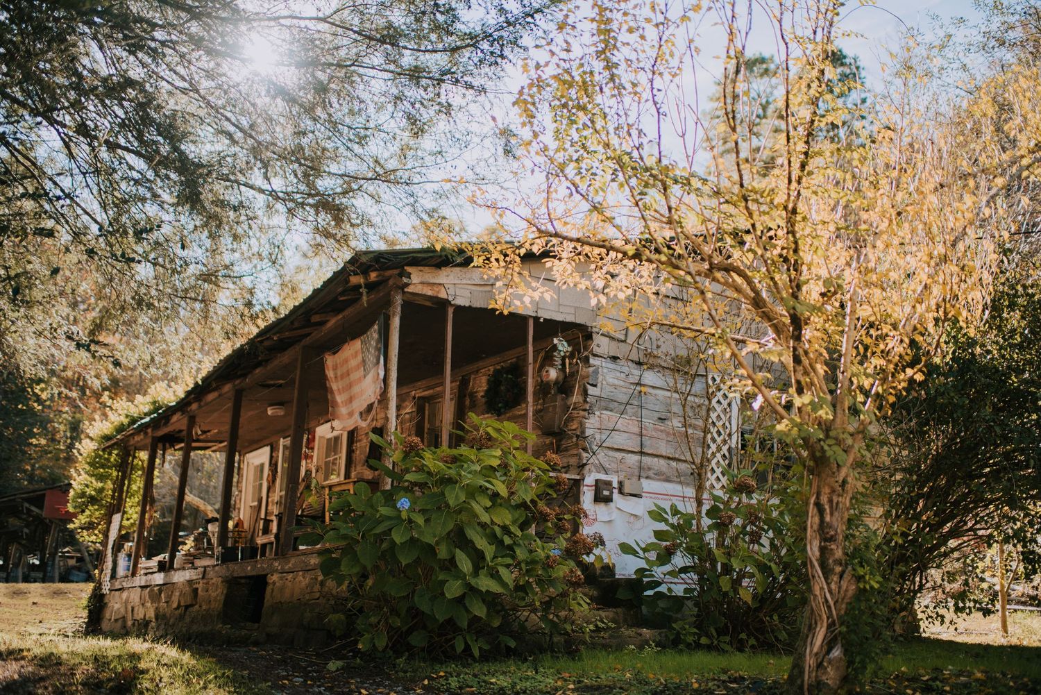 Row of rustic wooden cabins nestled among autumn trees in a natural setting.