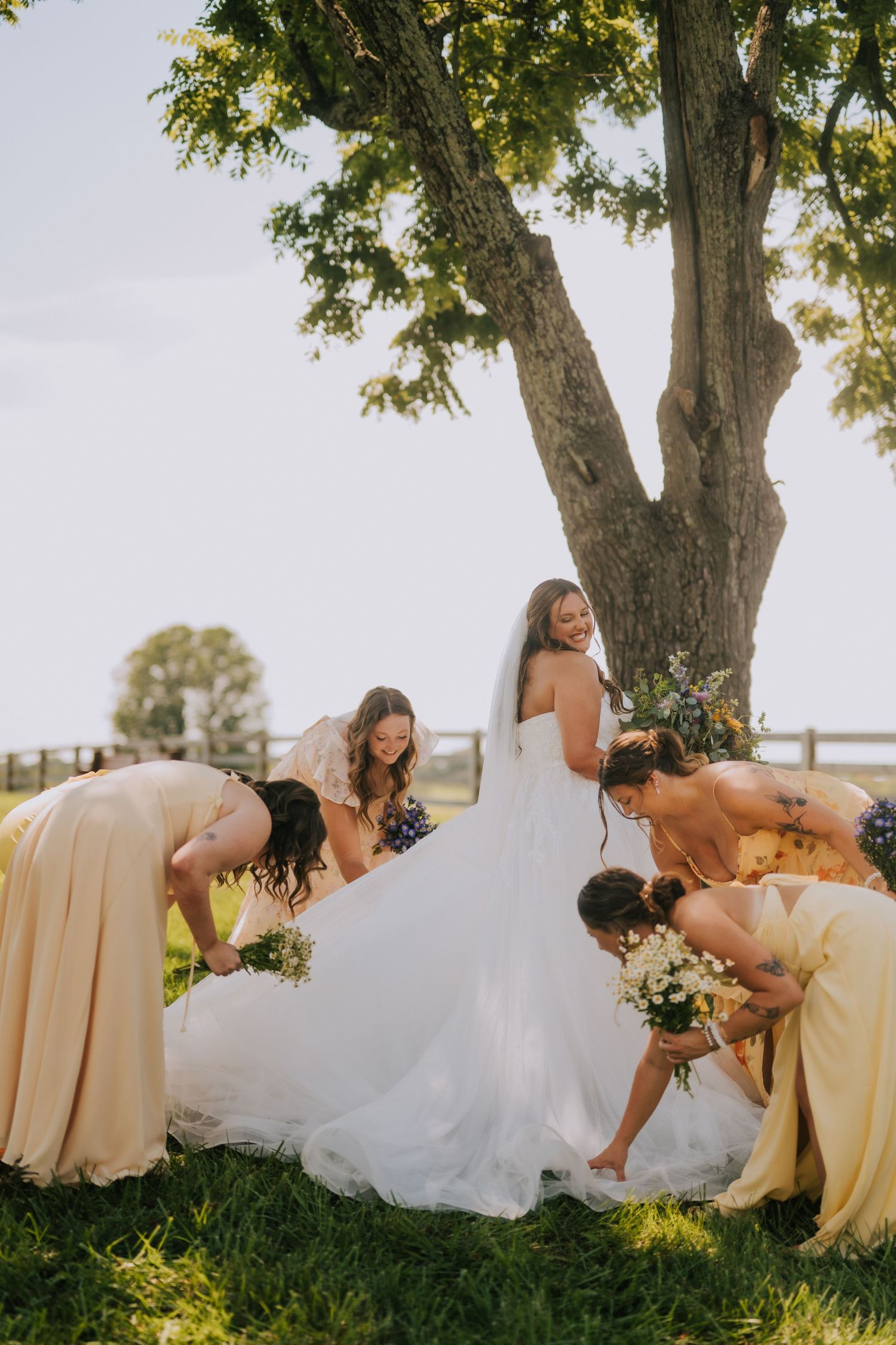 Wedding party lounges on grass under a large tree during summer celebration.