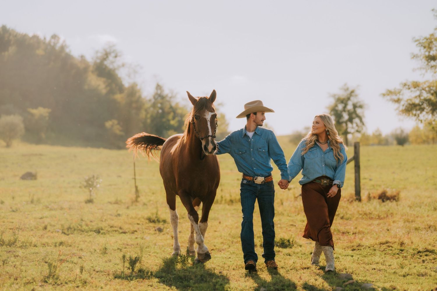 Family spending time with horses in a sunny pasture.