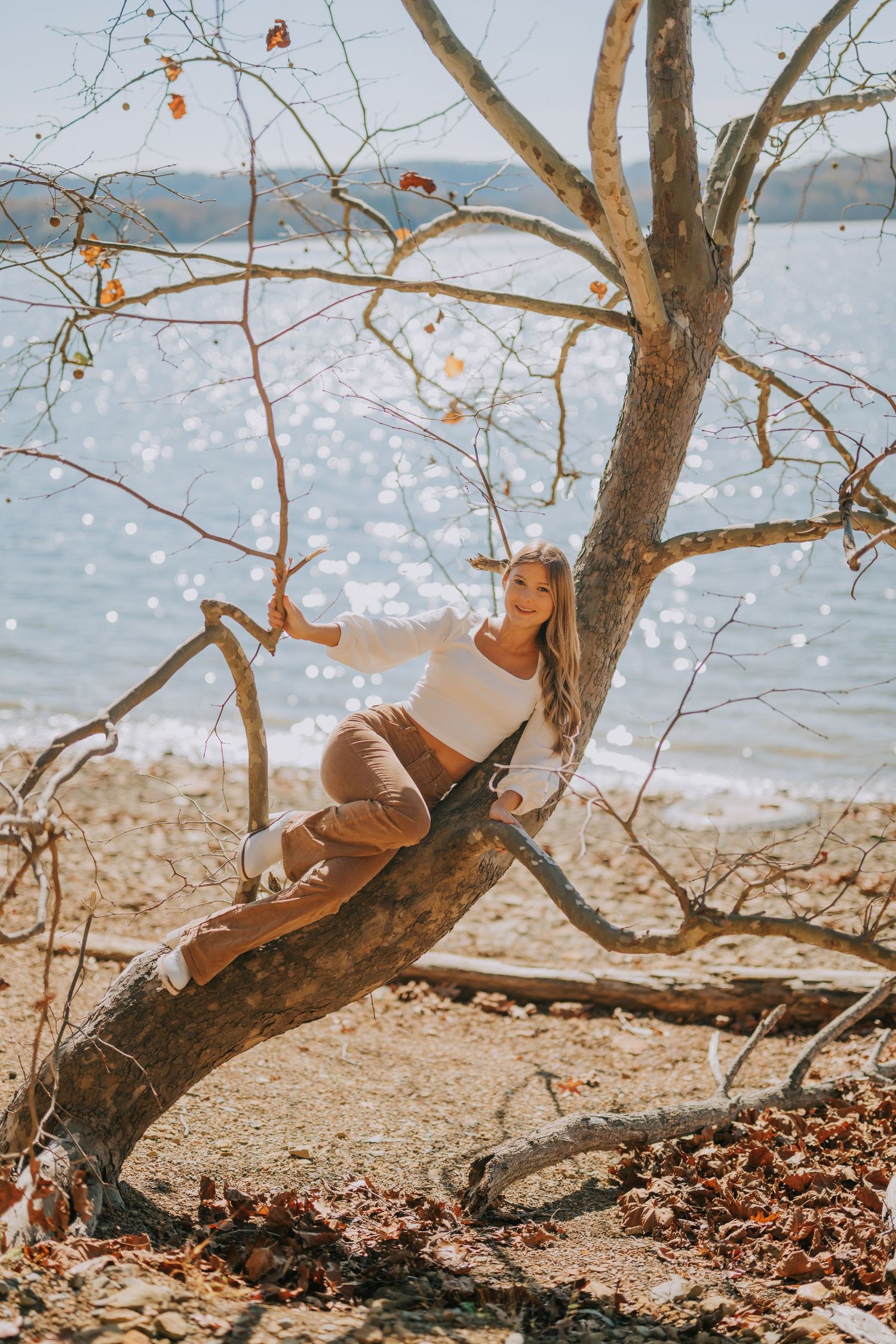 Artistic shots taken under a tree branch by a sparkling lake.