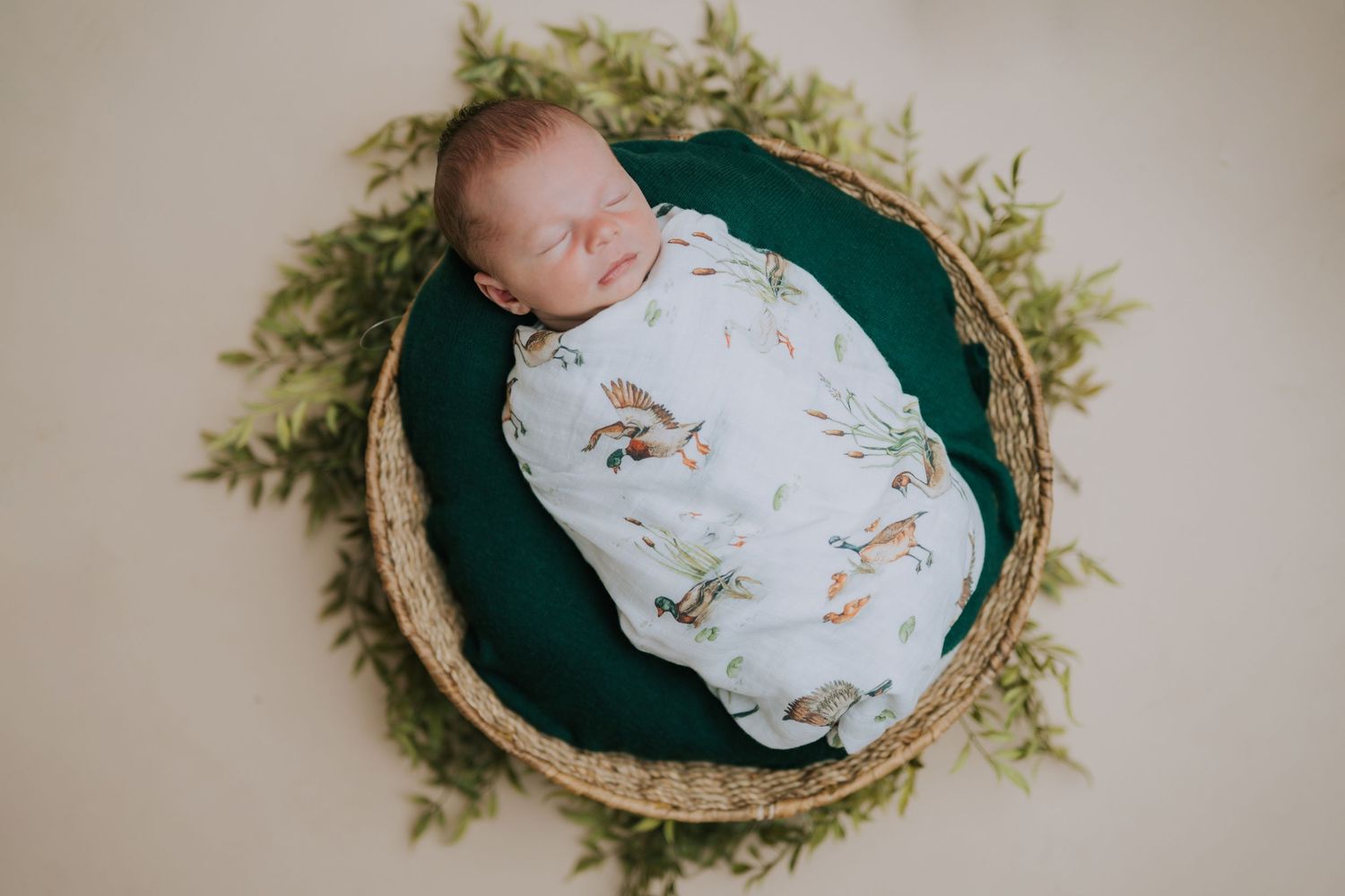 Overhead view of sleeping newborn in basket surrounded by greenery.