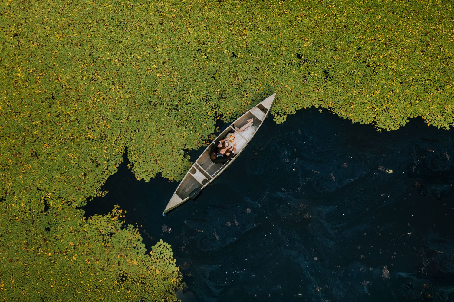 Small boat floats on water covered in bright green lily pads.