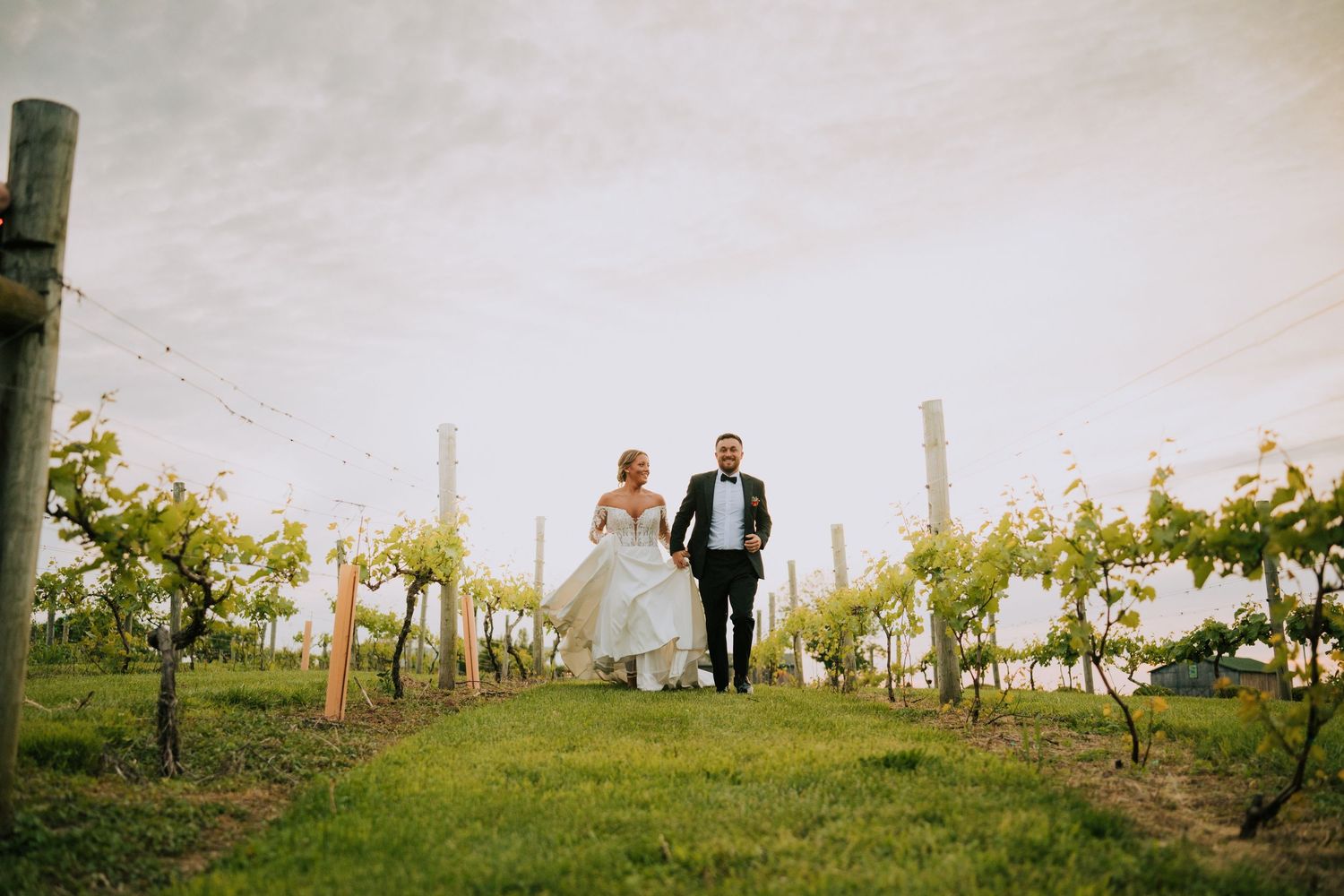 Panoramic view of vineyard wedding scene with distant couple among the vines.