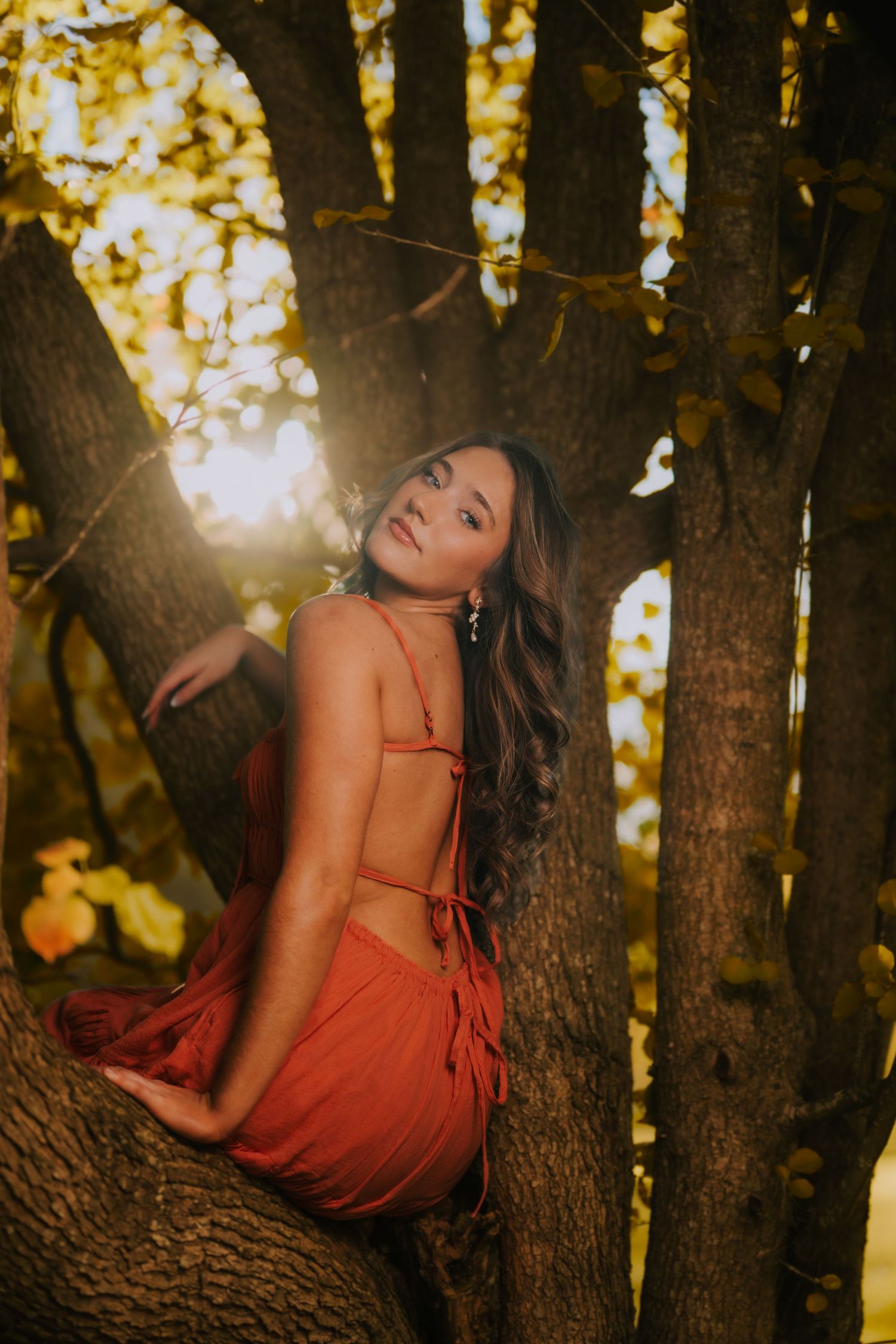 Artistic portrait in red dress among trees with golden sunlight filtering through branches.
