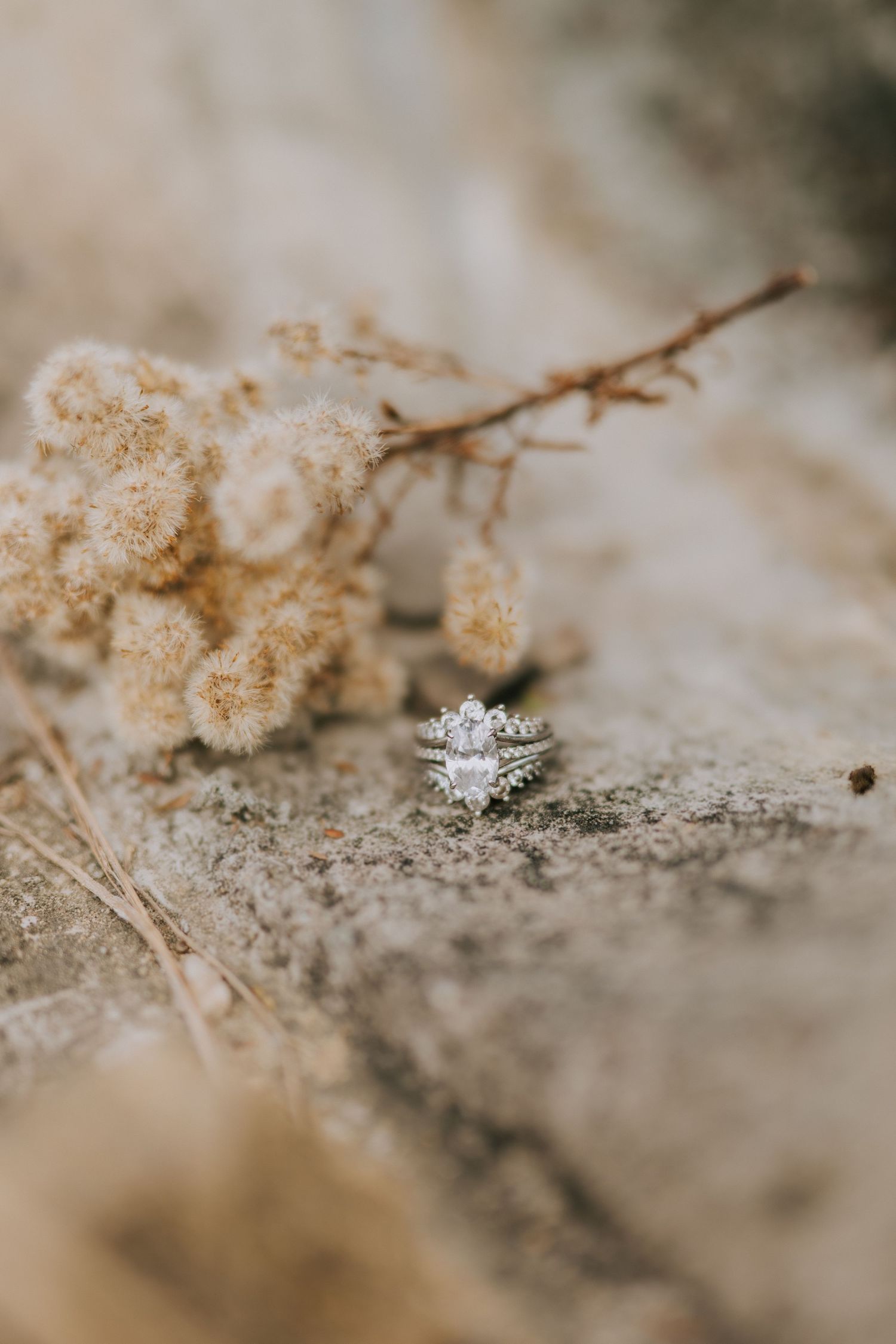 Close-up of diamond engagement ring with dried flowers in soft focus background.
