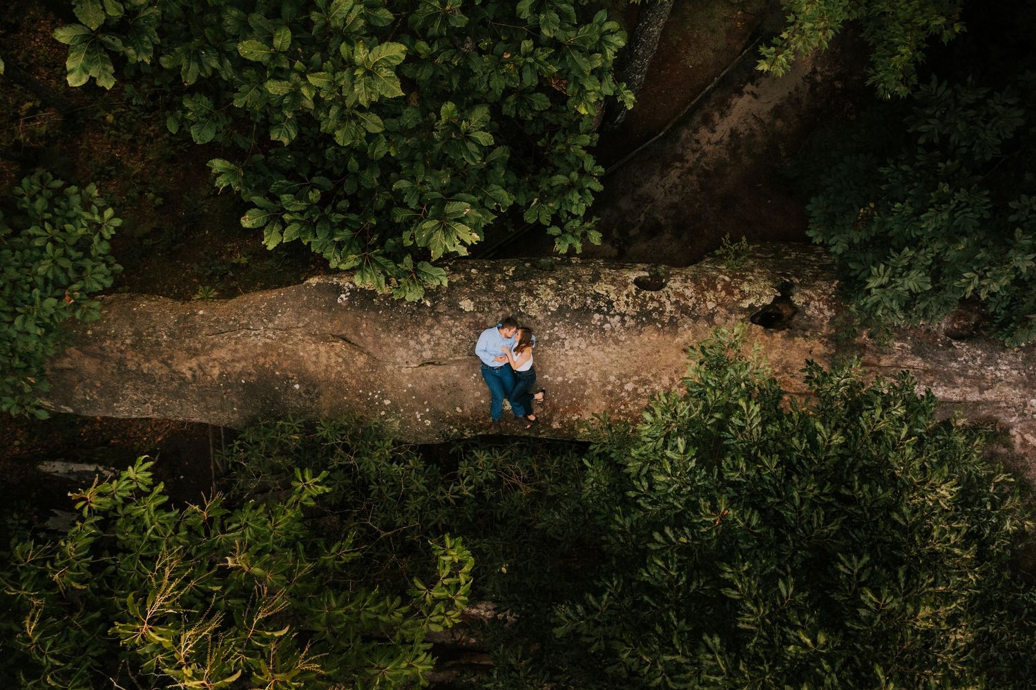 Aerial view of winding forest path through lush green trees.