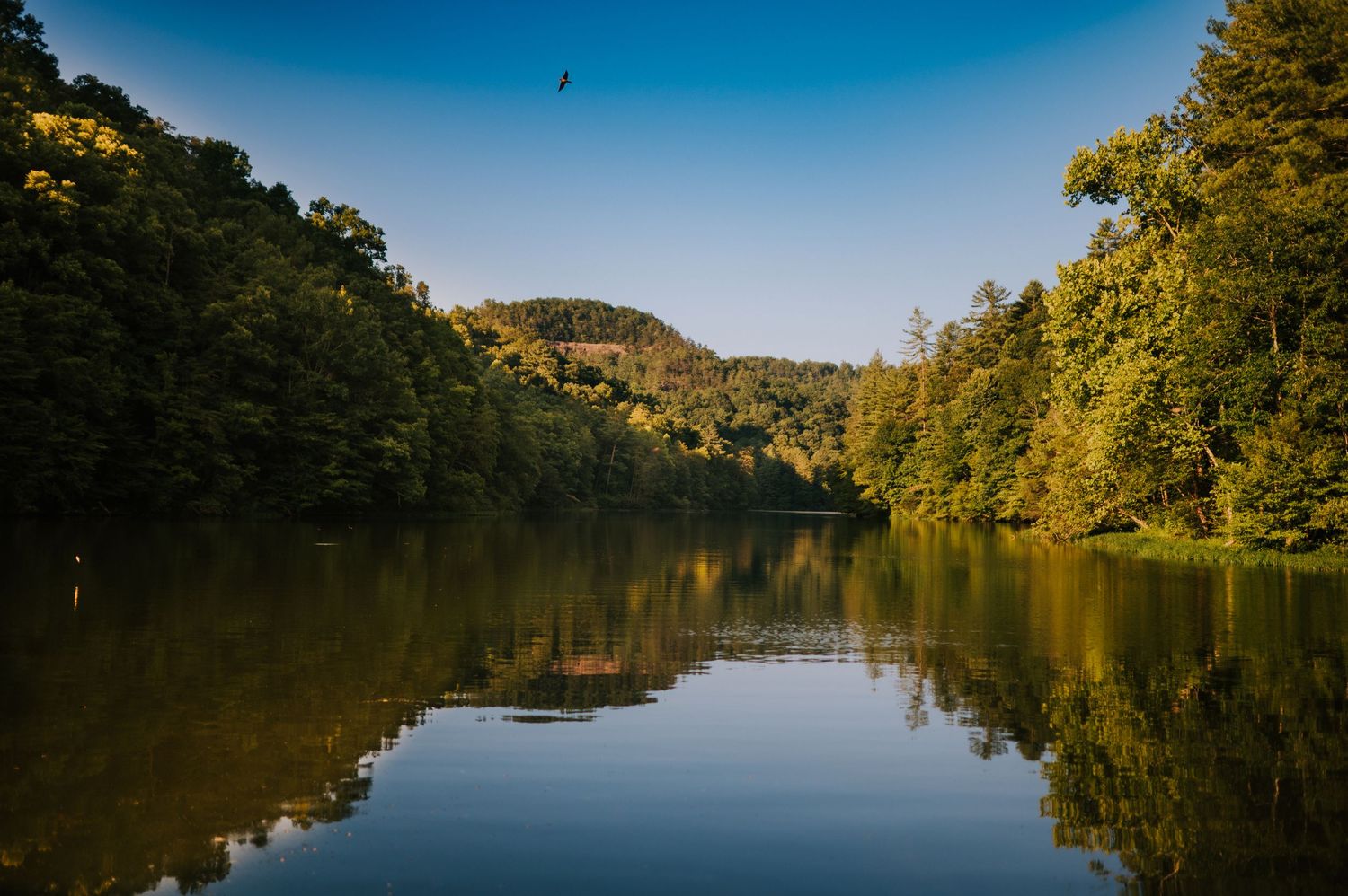 A serene lake landscape with perfect mirror reflections of surrounding forest and mountains.