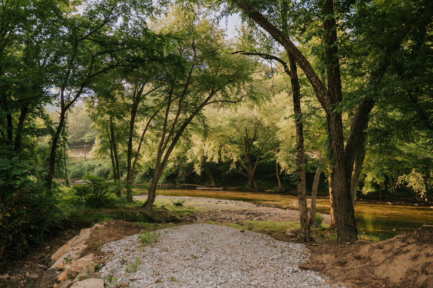 A serene gravel path winds through lush green trees in a peaceful wooded park setting.