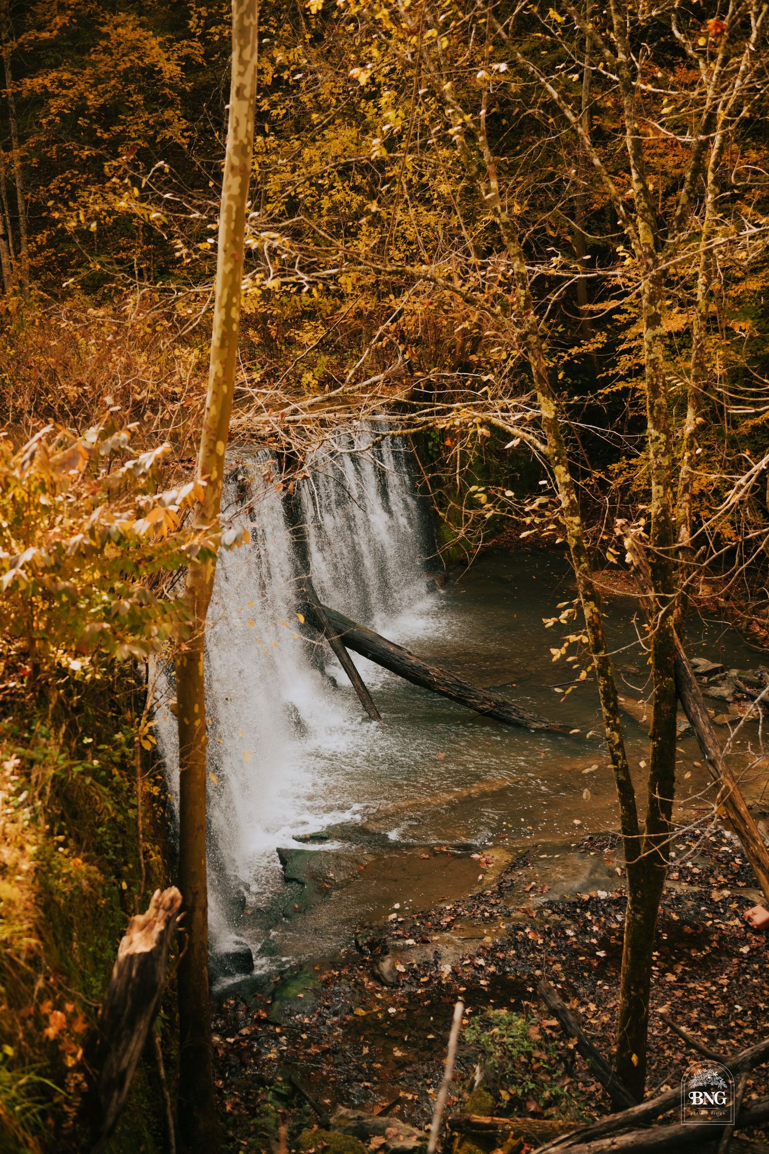 Scenic waterfall surrounded by golden autumn foliage in a forest setting.