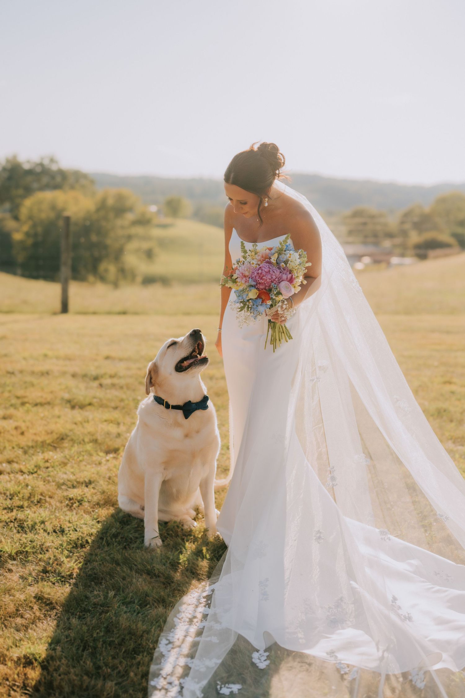 Bride in white gown poses with fluffy white dog in sunlit meadow.