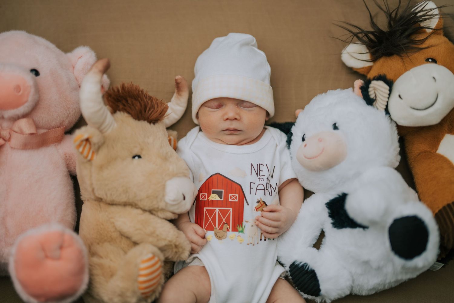 Newborn baby surrounded by plush farm animal toys including pig, cow, and horse.