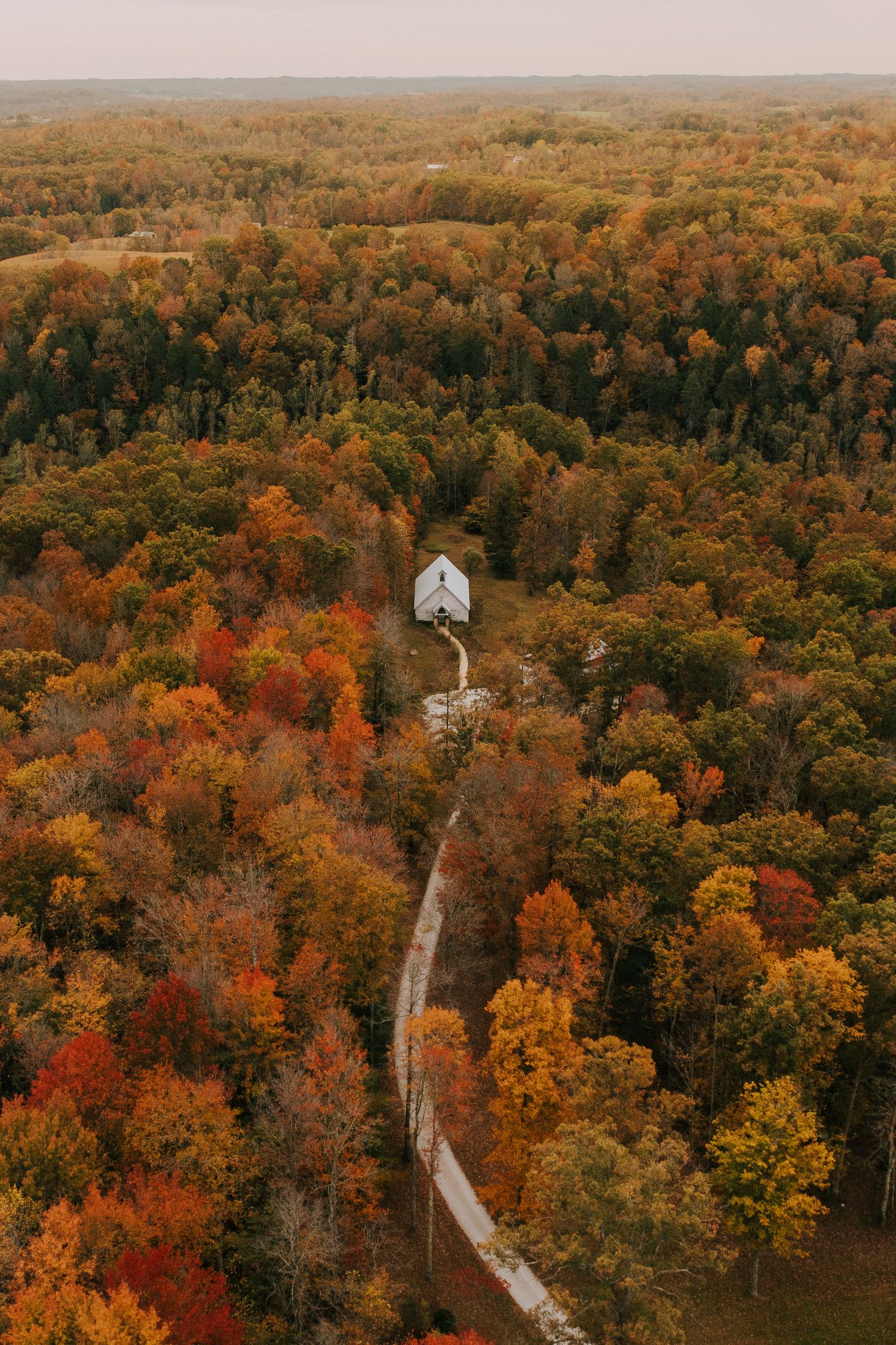 Aerial view of a winding road cutting through vibrant autumn forest with red, orange and yellow foliage.
