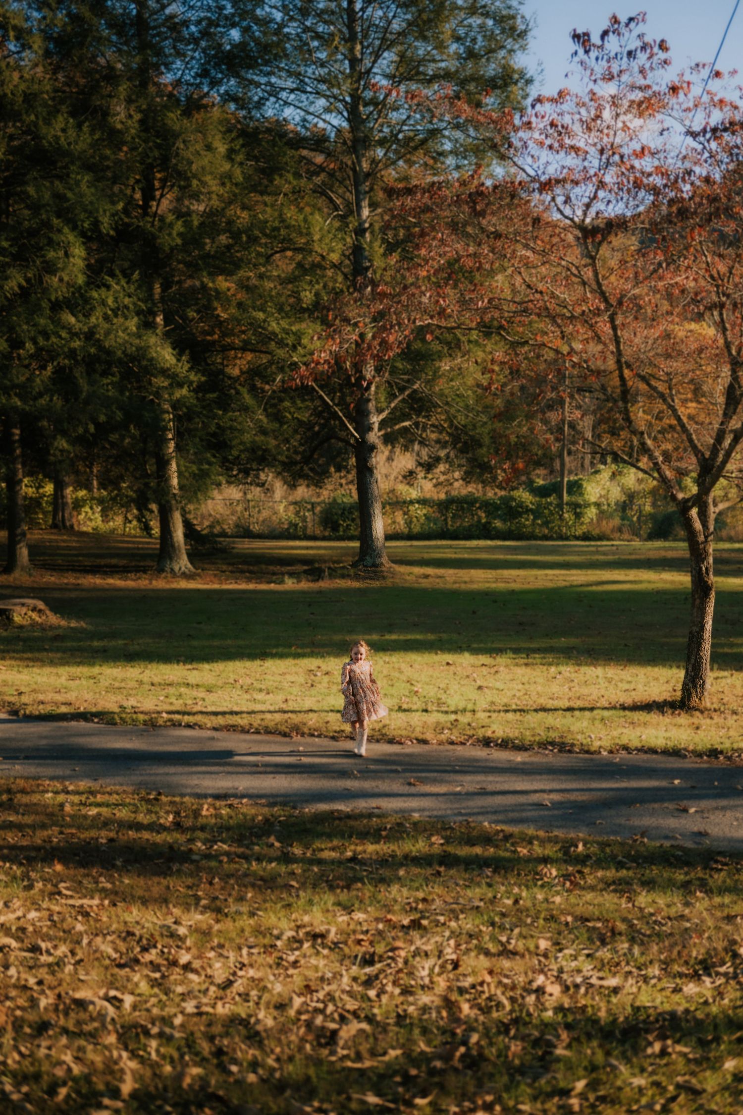 Walking path through a park with scattered autumn leaves and trees on a sunny day.