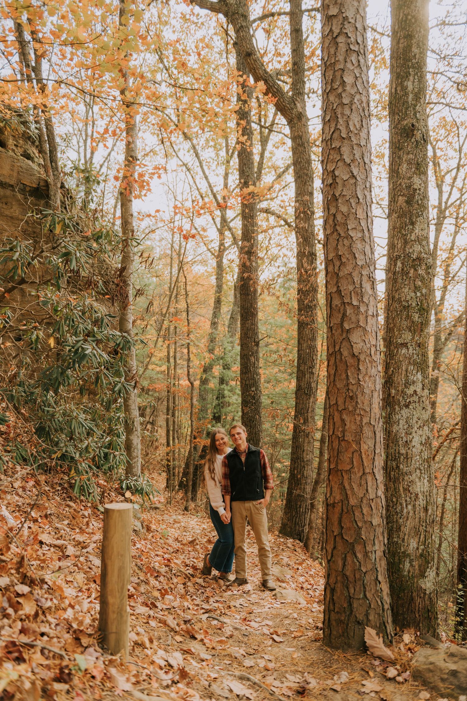 A walking path winds through a forest of tall pine trees with golden autumn foliage.