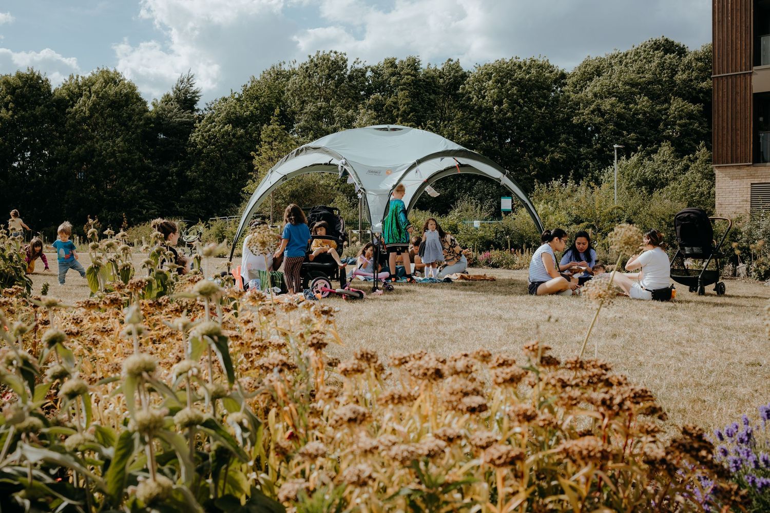 Panoramic view of an outdoor gathering space with natural landscaping and blue sky.