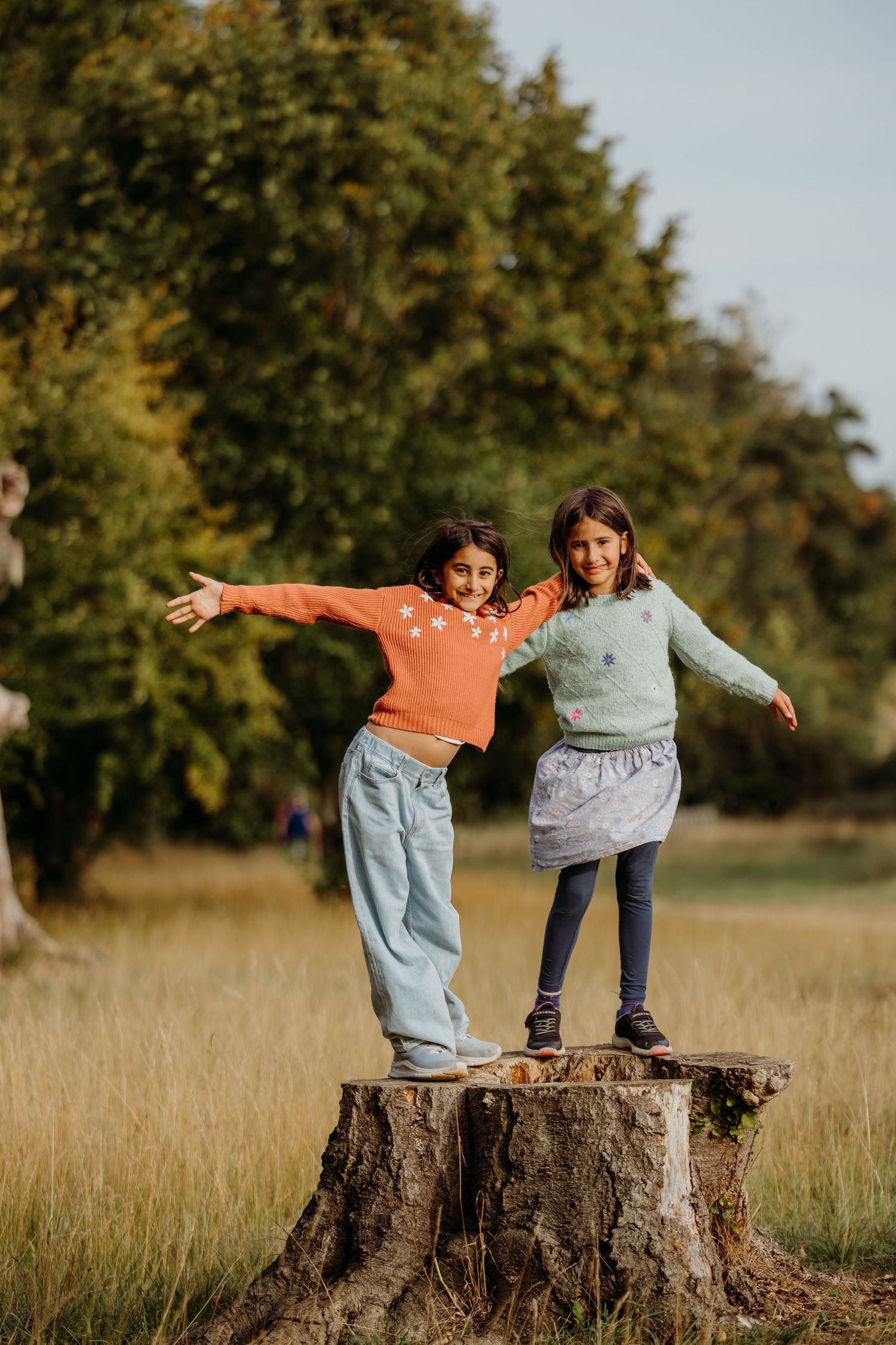 Children balancing playfully on tree stumps in a sunny meadow.