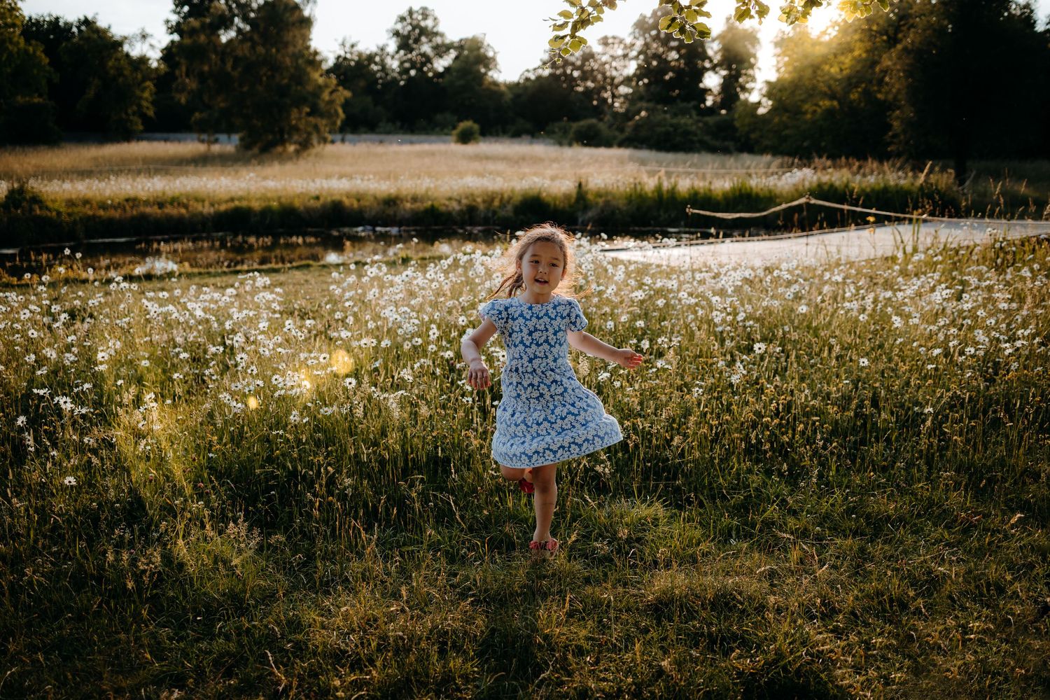 Silhouette of figure in floral field at golden hour with sun rays streaming through trees.