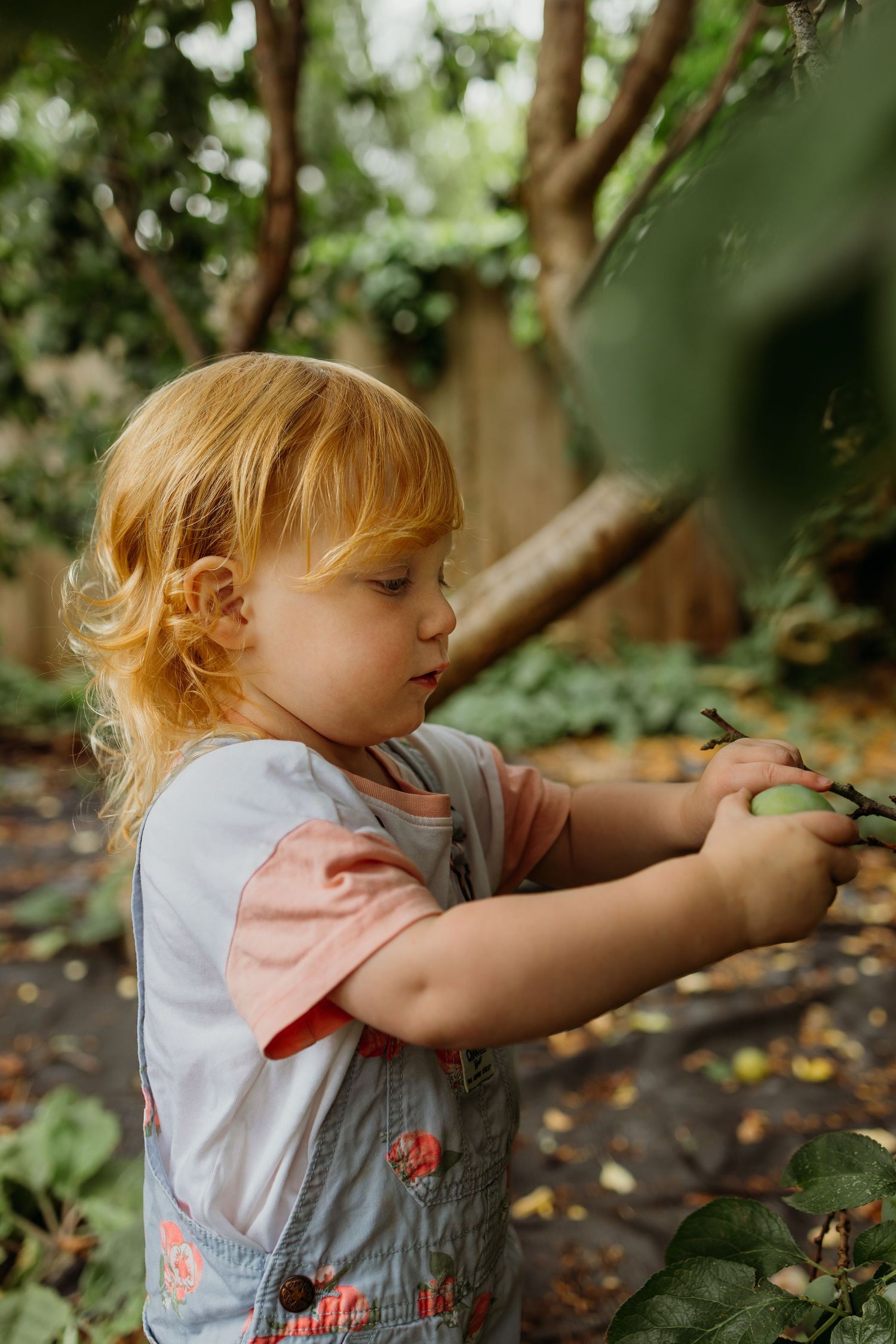 Young child exploring nature and reaching toward tree branches.